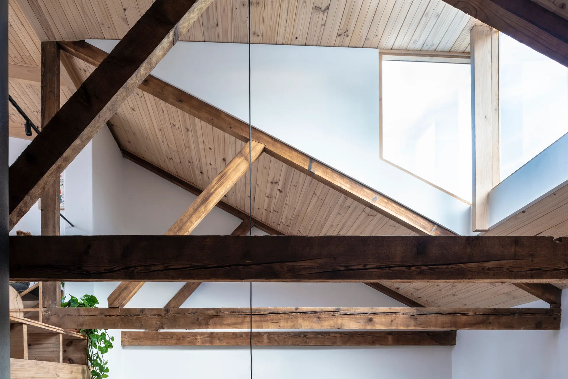 Large dark timber beams support a pitched roof with light wood plank paneling, white walls, and a large bright skylight.