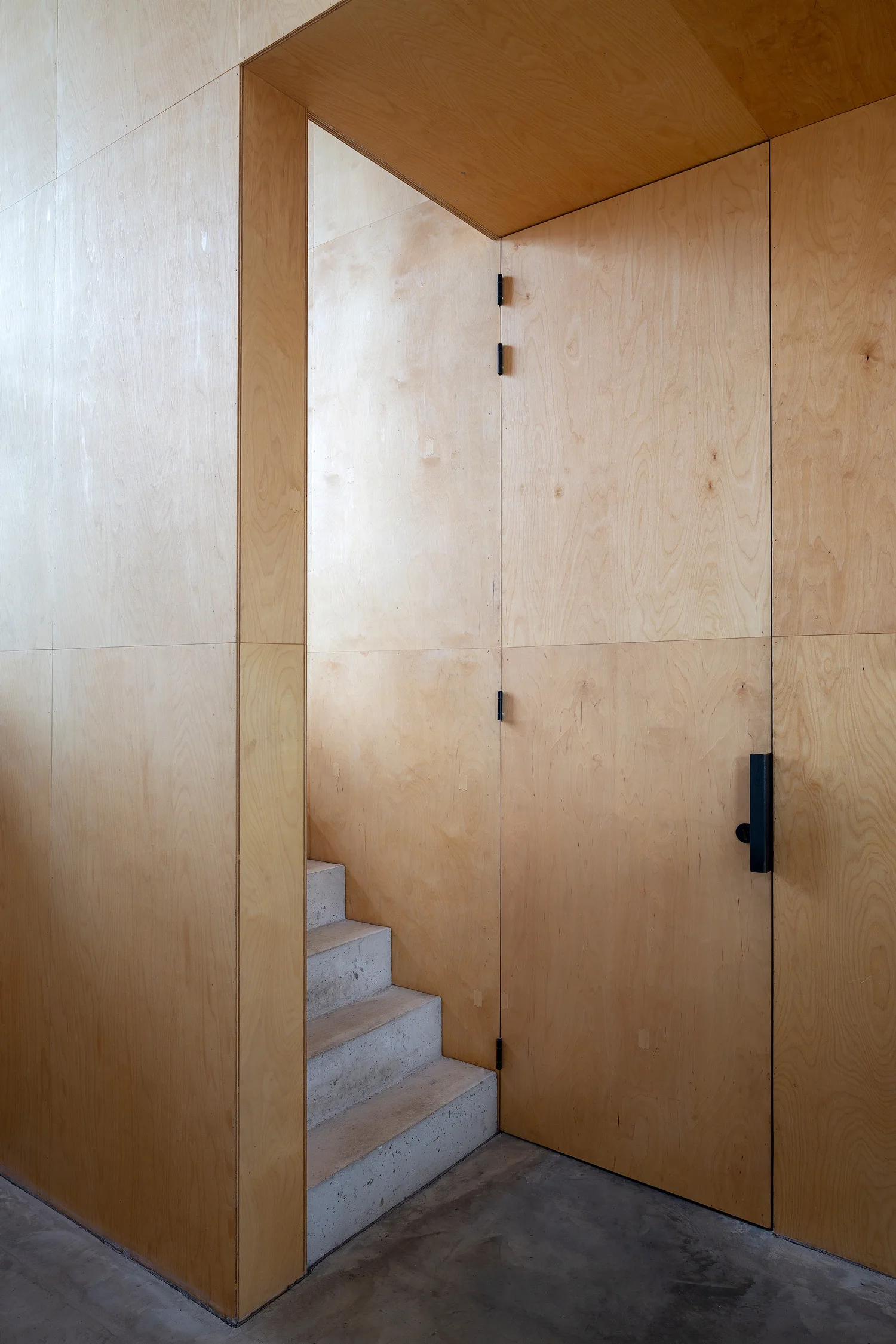 A minimalist hallway features light wood plywood paneled walls, a matching flush-integrated door with black hardware, and concrete stairs.