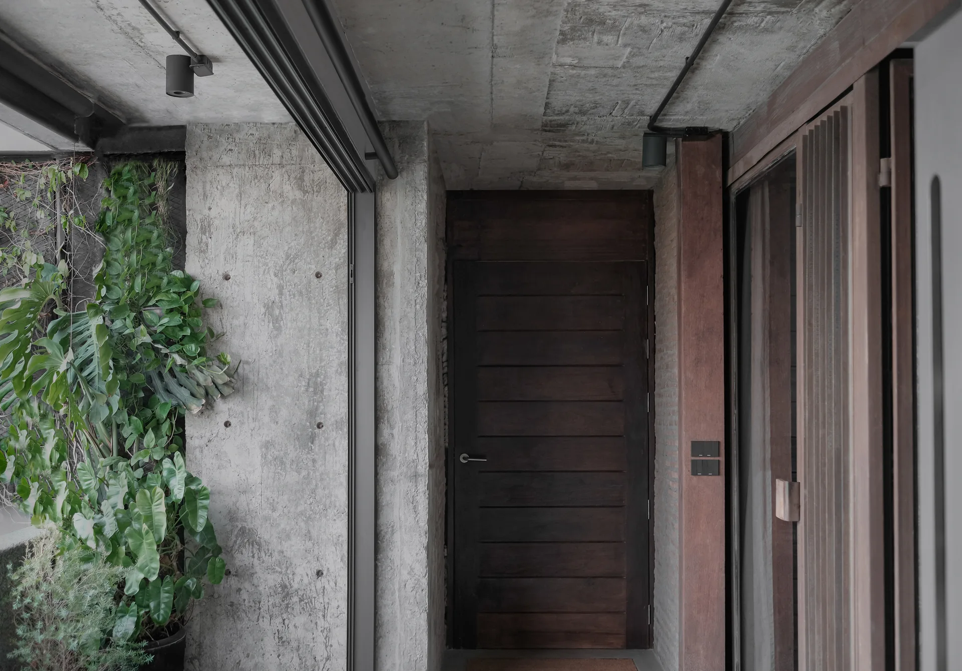 A dark horizontal wood plank door set against exposed concrete walls with a climbing green plant in an entryway.
