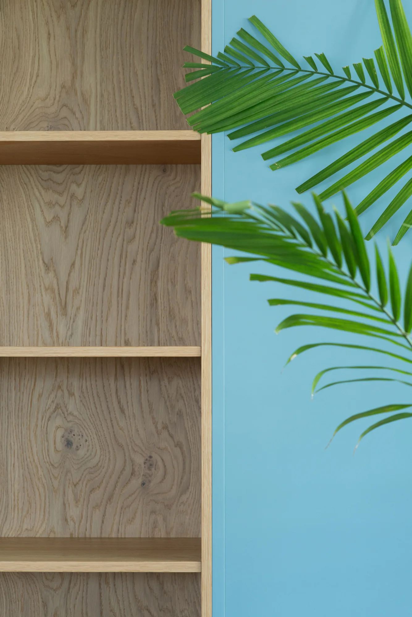 A close-up view of light wood grain open shelving next to a flat light blue cabinet panel with green palm leaves in the foreground.