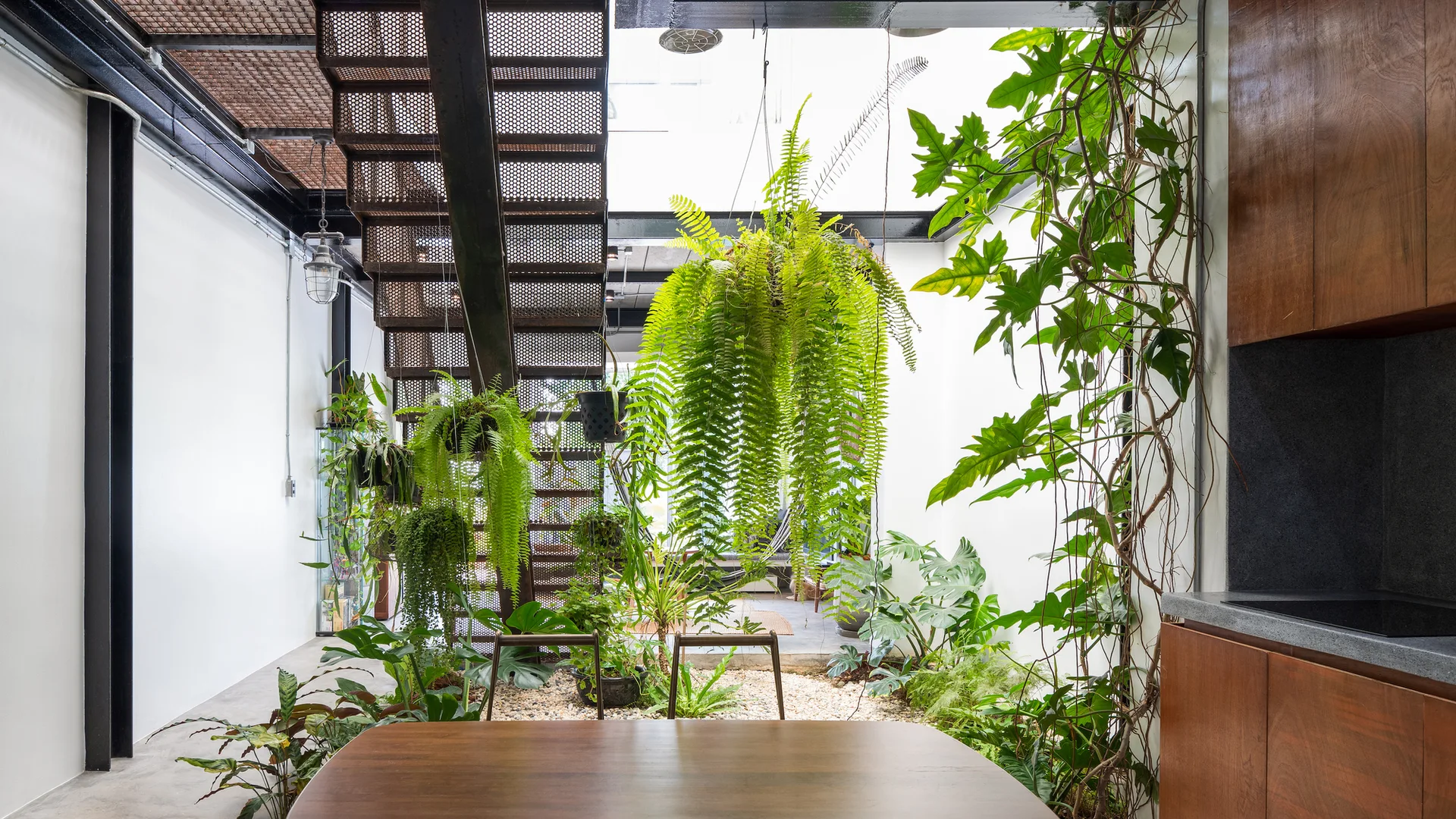 An industrial dining space with a wood table, a perforated metal staircase, and an indoor garden filled with hanging ferns under a bright skylight.