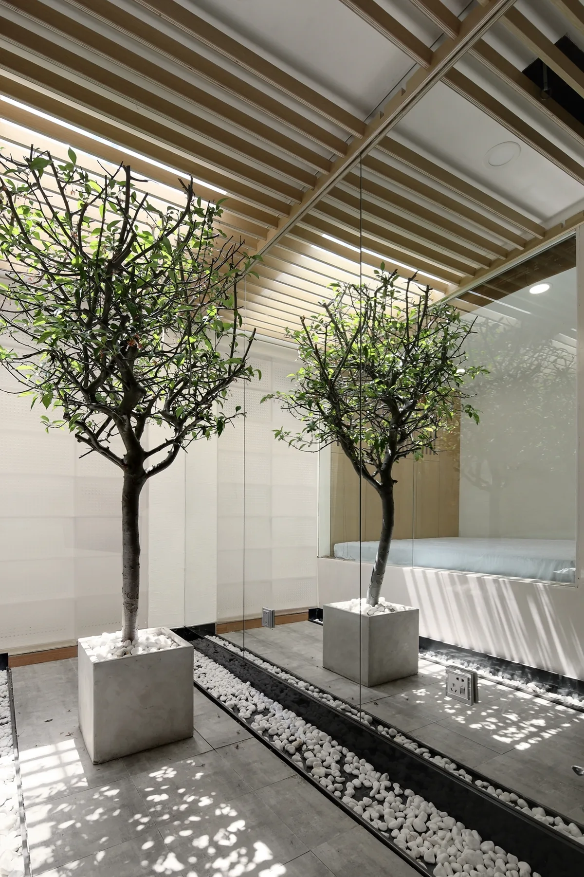 An indoor courtyard features a potted tree in a concrete planter, a bed of white gravel, a slatted timber ceiling, and a full-height mirrored wall.