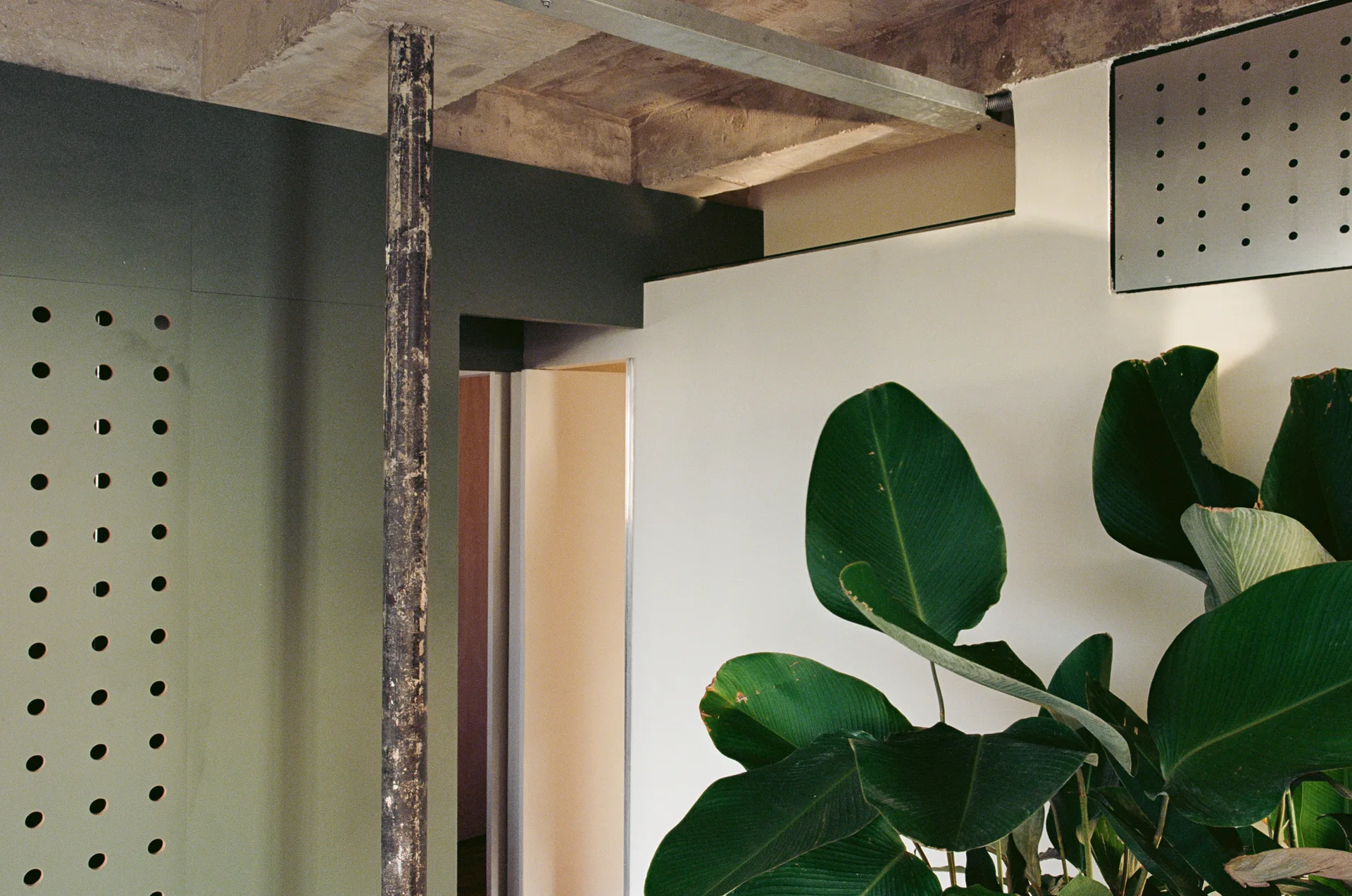 An industrial interior features a green perforated wall panel, a raw concrete ceiling, a weathered metal pipe column, and a large leafy houseplant.