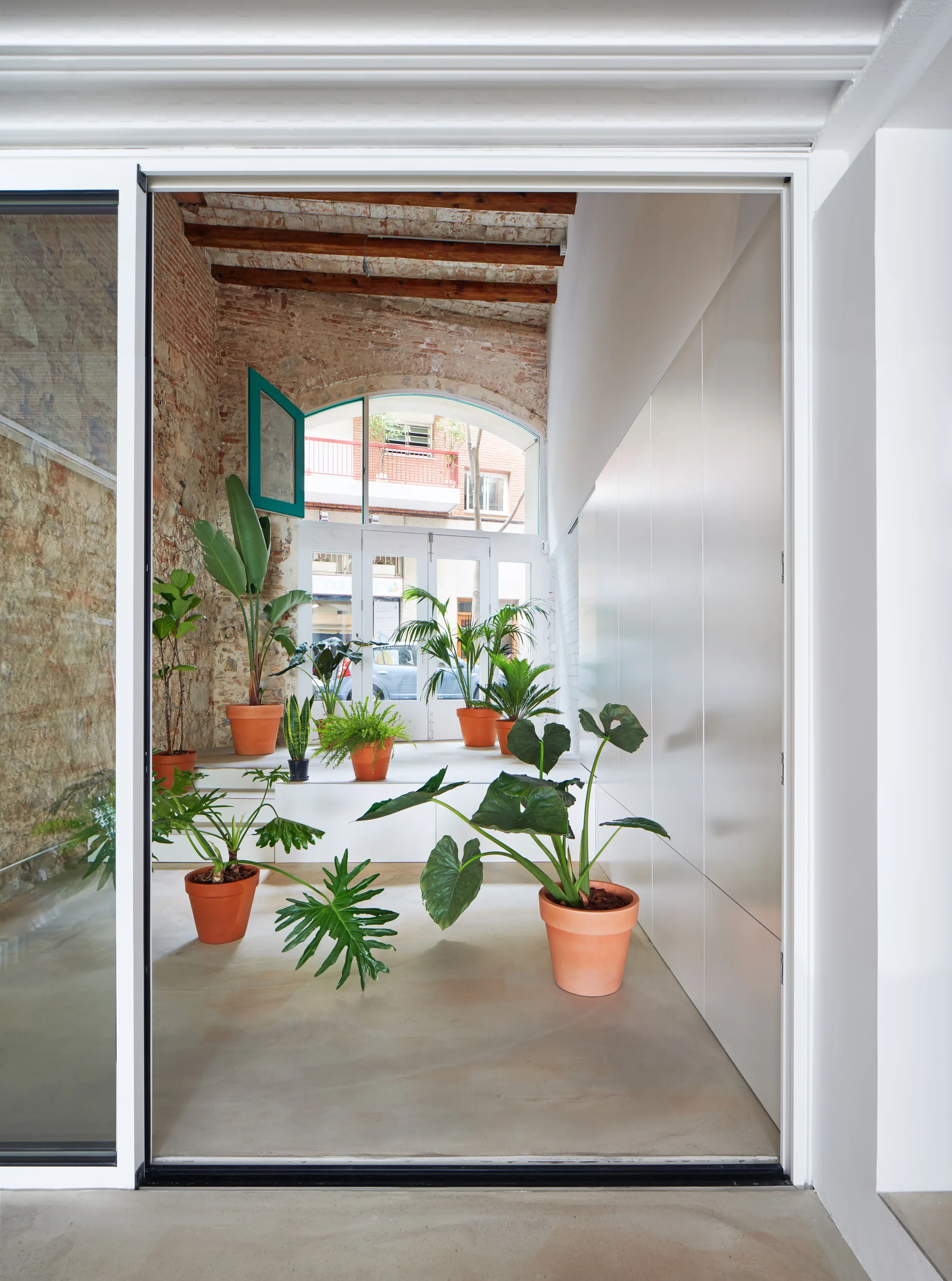 A transitional entryway features a rustic exposed brick wall, white built-in cabinetry, and an array of green plants in terracotta pots on concrete floors.