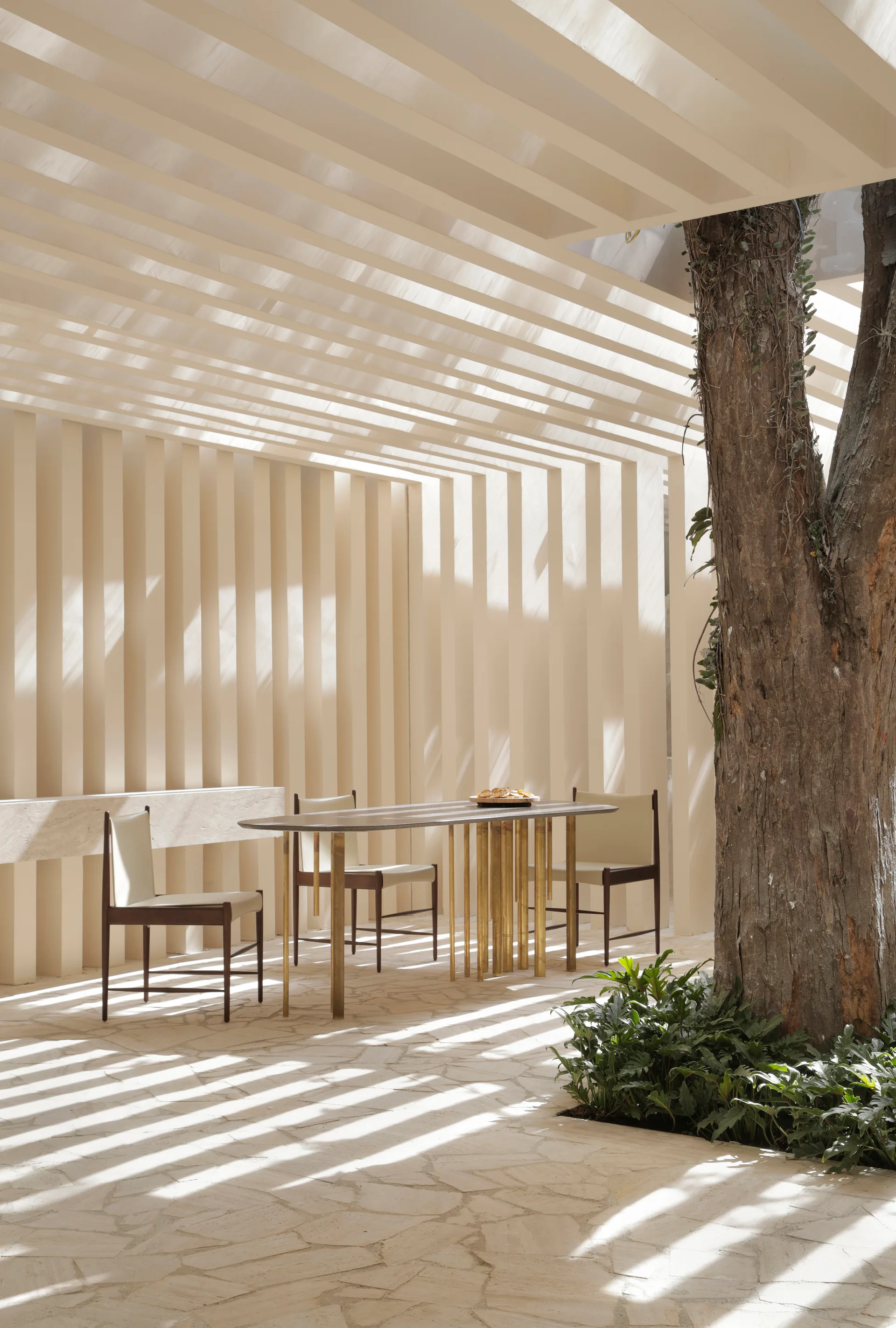 An outdoor dining table and chairs stand under a cream slatted pergola next to a large tree growing through the stone patio floor.