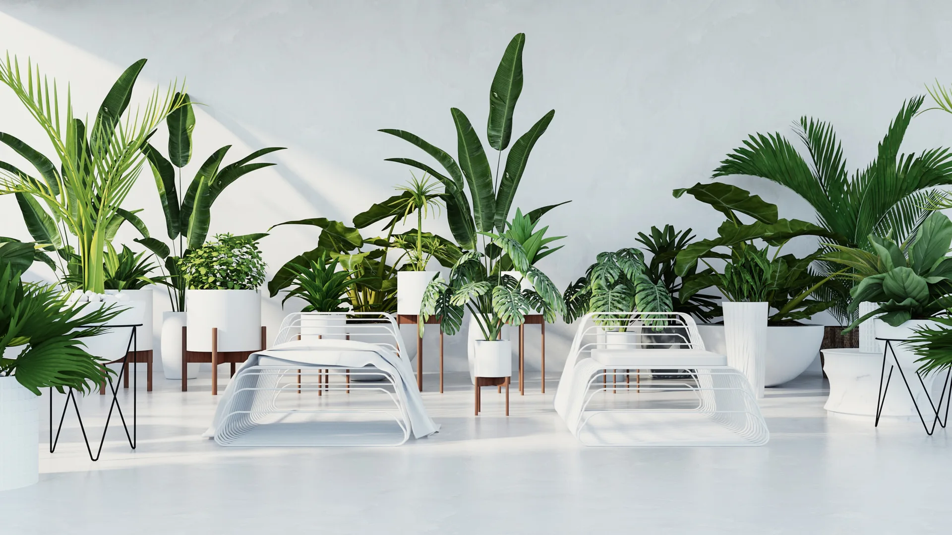 Two white wire-frame lounge chairs sit in a minimalist sunroom surrounded by various potted tropical plants on wooden stands against a plain white wall.