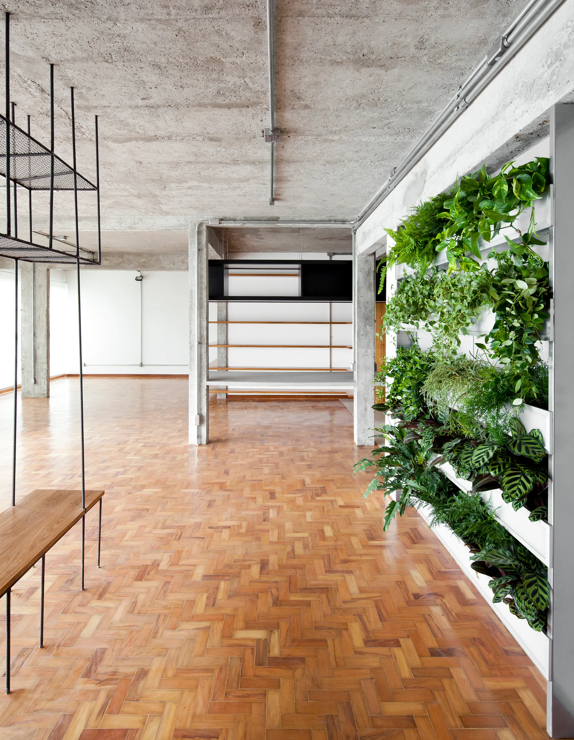 An open industrial loft features herringbone wood floors, an exposed concrete ceiling, and a large wall-mounted vertical garden filled with leafy plants.