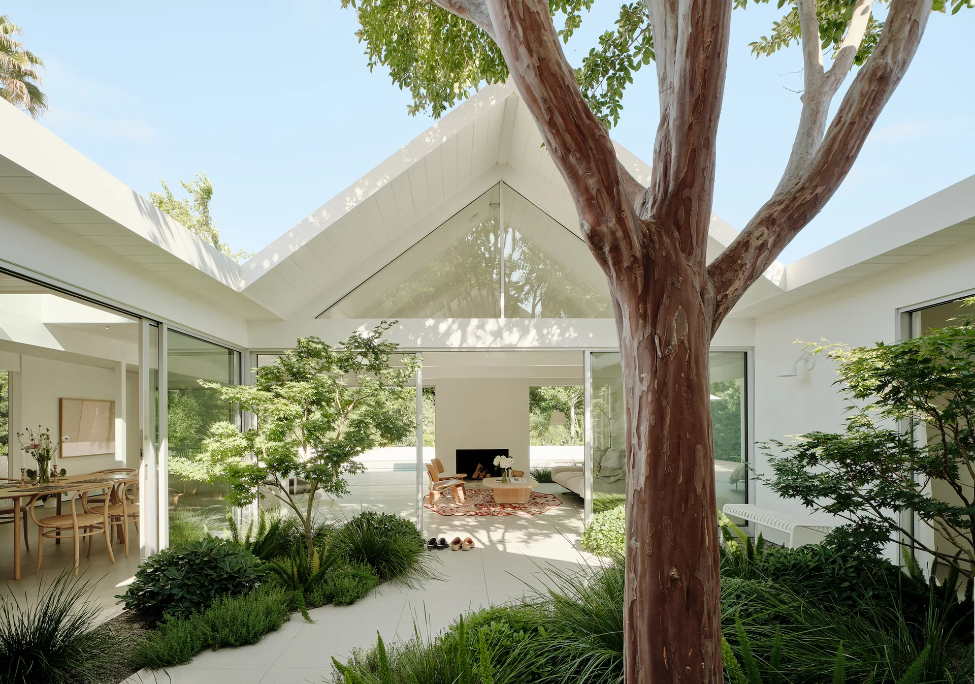 A white modern house with a gabled roof features sliding glass doors opening to a central courtyard garden with lush greenery and a mature tree.