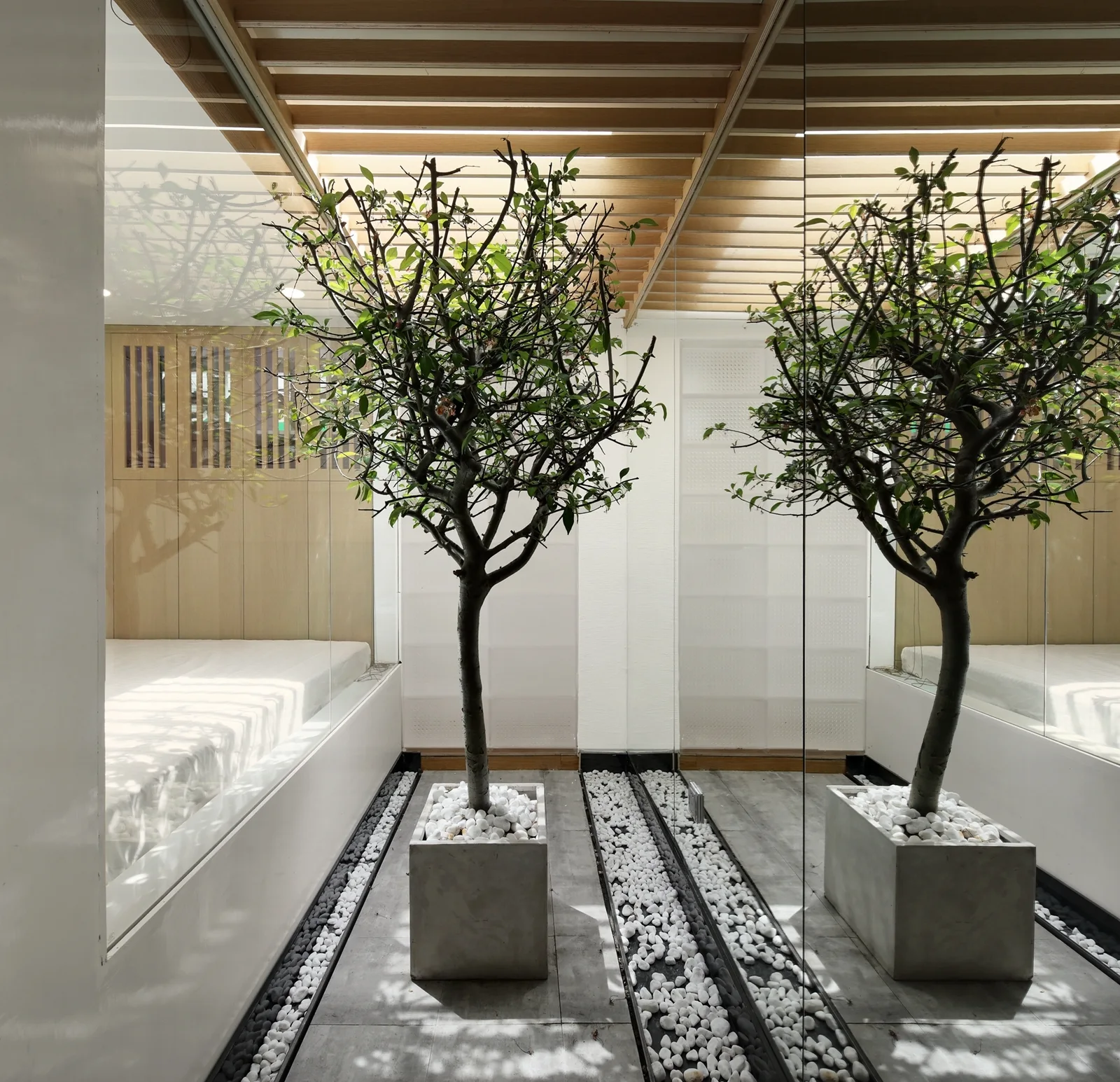 A minimalist indoor courtyard features concrete planters with green trees, mirrored walls, and a wood-slatted ceiling casting shadows.
