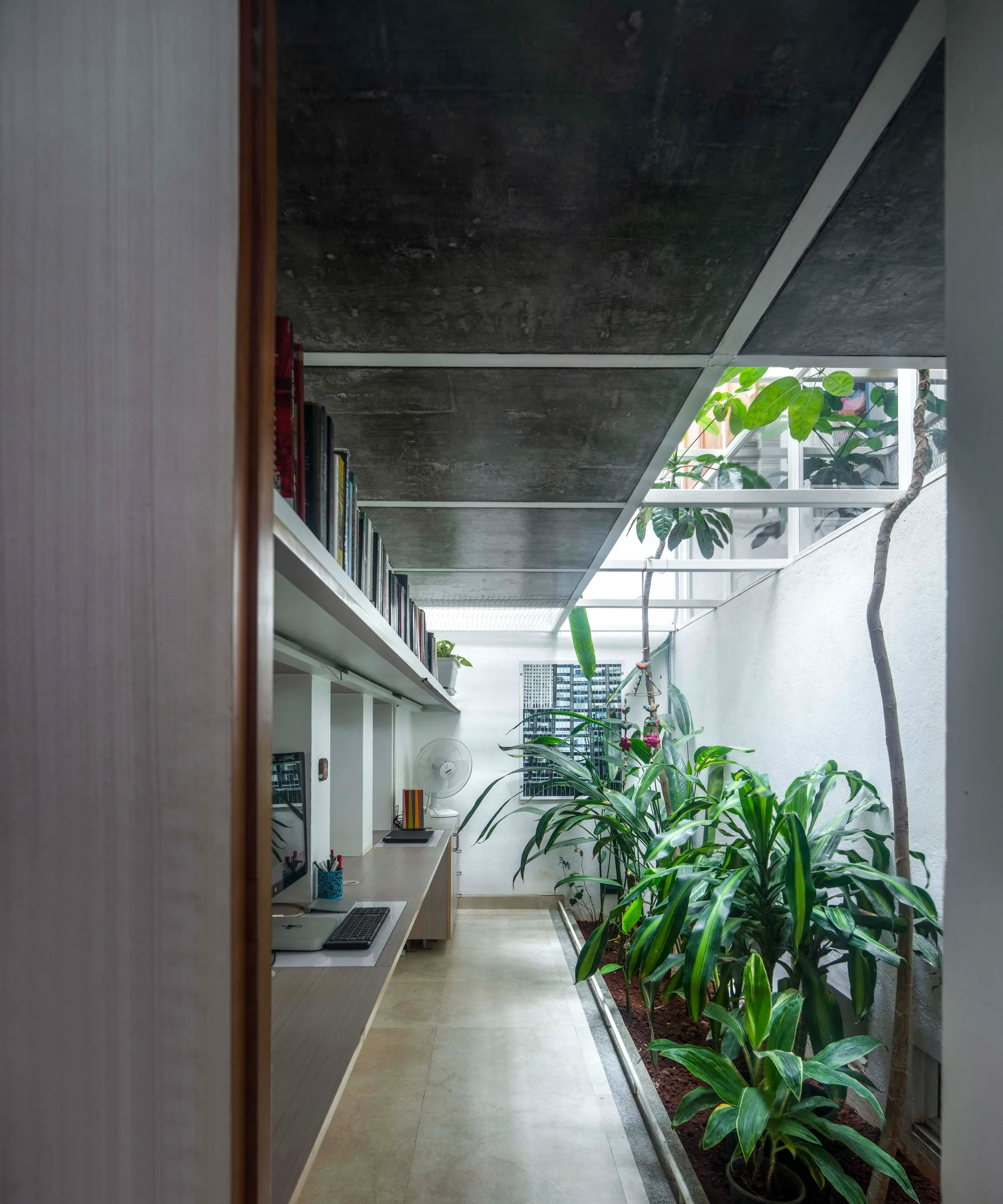 A minimalist home office featuring a long built-in desk and overhead bookshelf running parallel to an indoor garden under a skylight.