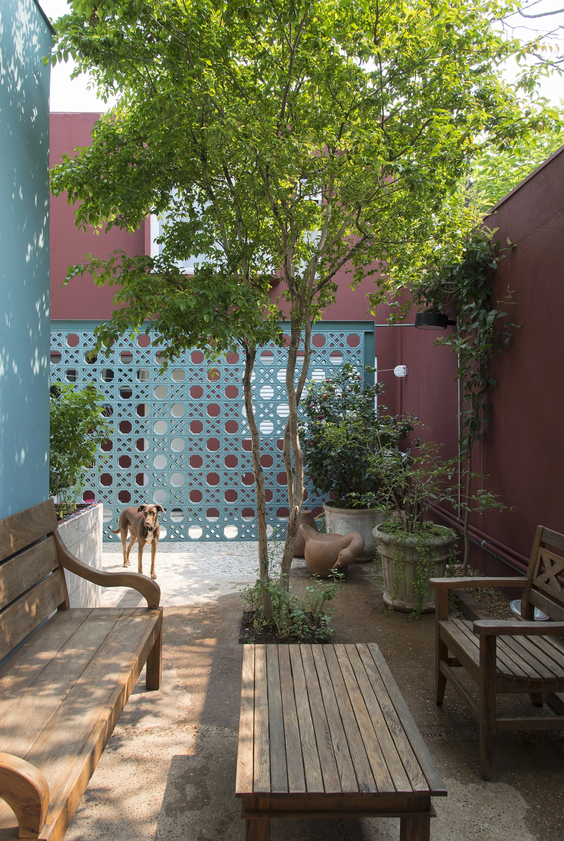 An outdoor courtyard features weathered wooden benches, a slatted table, large potted plants, and a bright turquoise geometric screen against red walls.