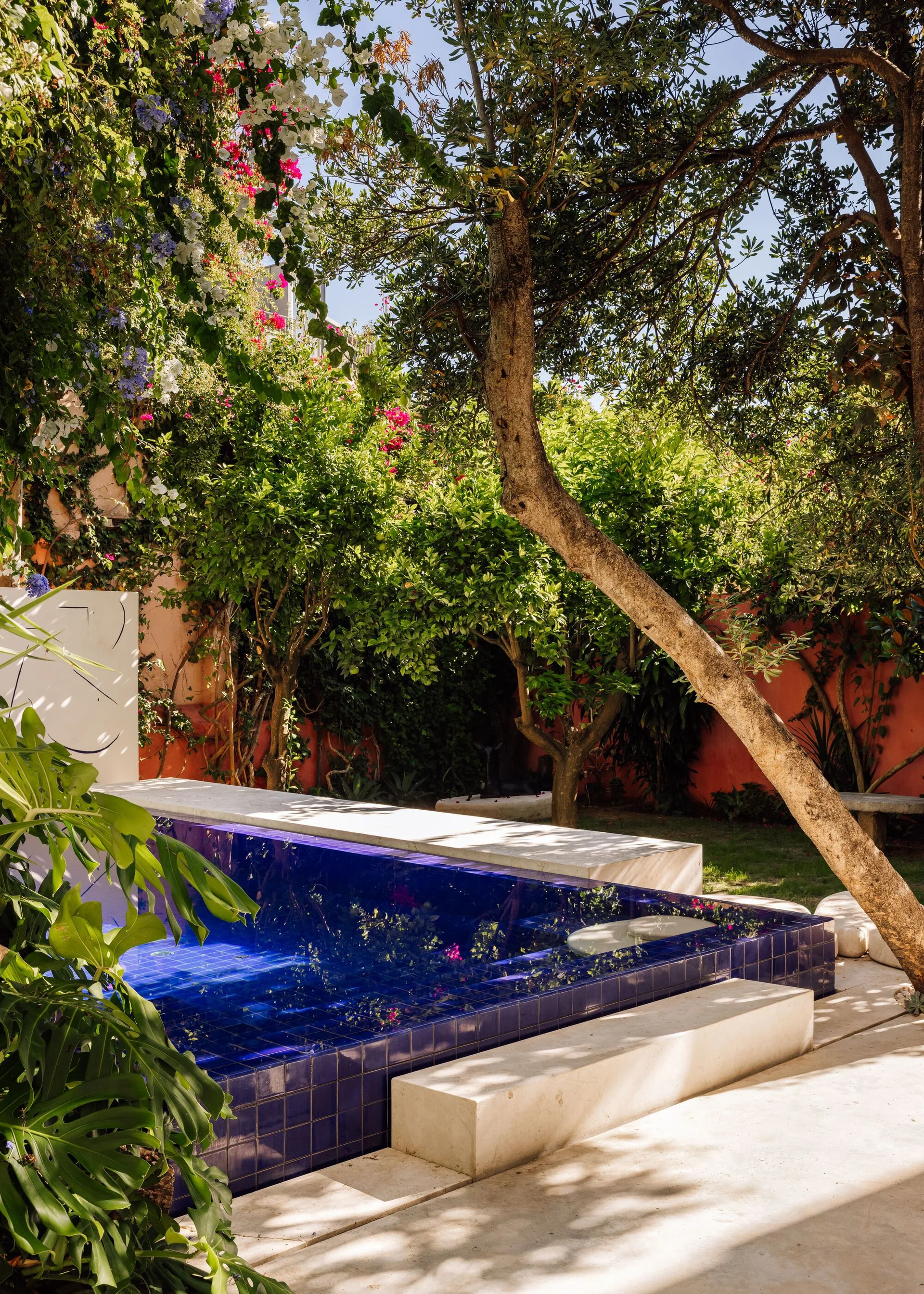 A small rectangular pool with glossy blue tiles is framed by white stone borders in a lush green garden with a pink wall.