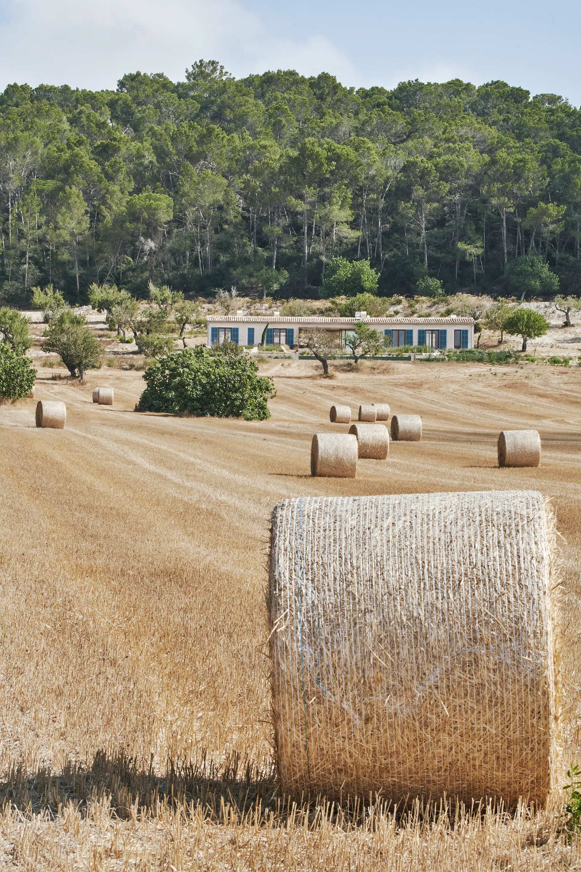 A long white house with blue shutters sits at the edge of a green forest overlooking a golden field dotted with hay bales.