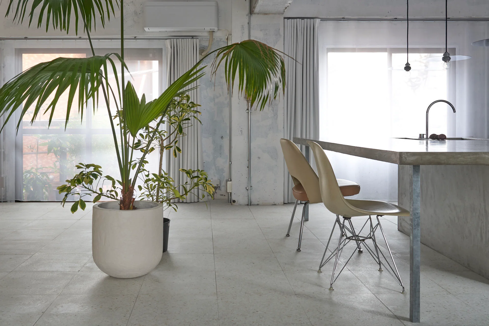 An industrial kitchen space with a large cast concrete island, molded plastic dining chairs, and a tall potted palm planter.