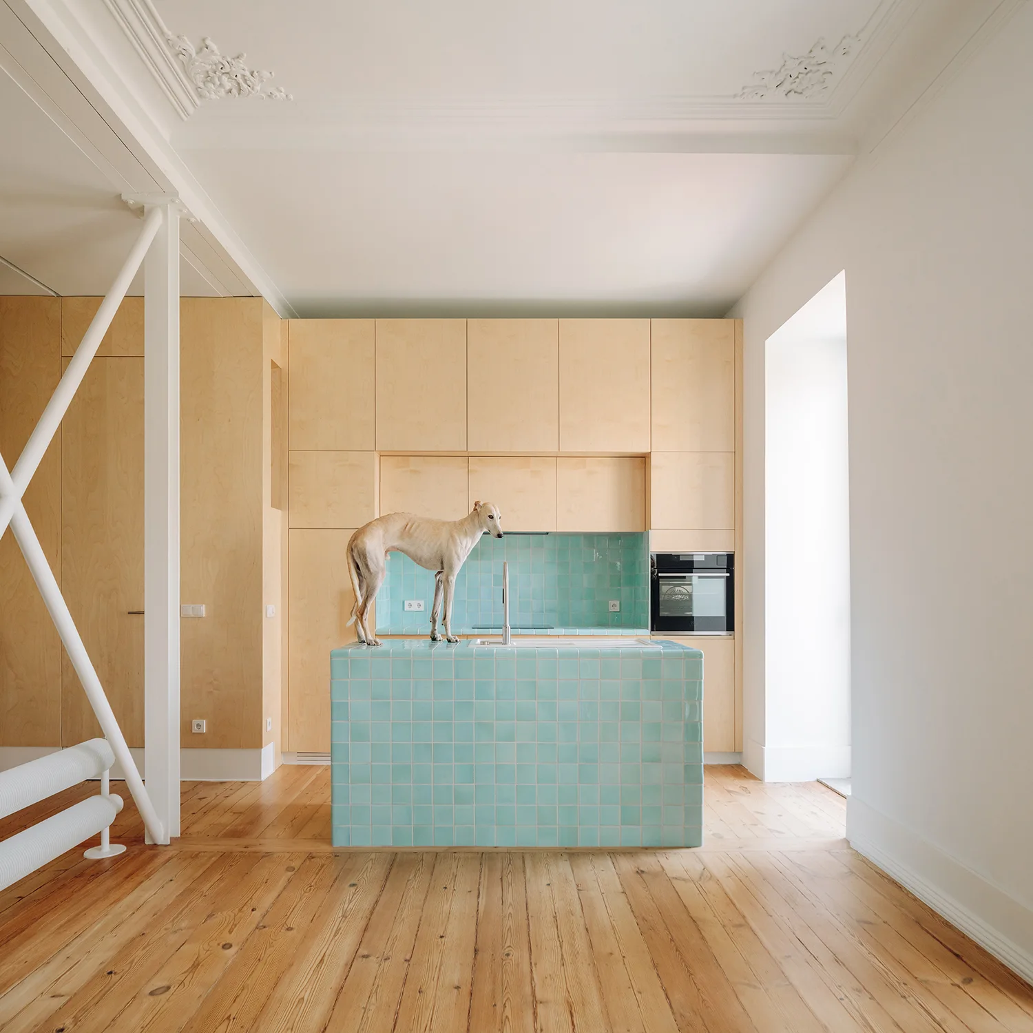A minimalist kitchen features a central teal tiled island, floor-to-ceiling light wood cabinetry, and a dog standing on the counter.