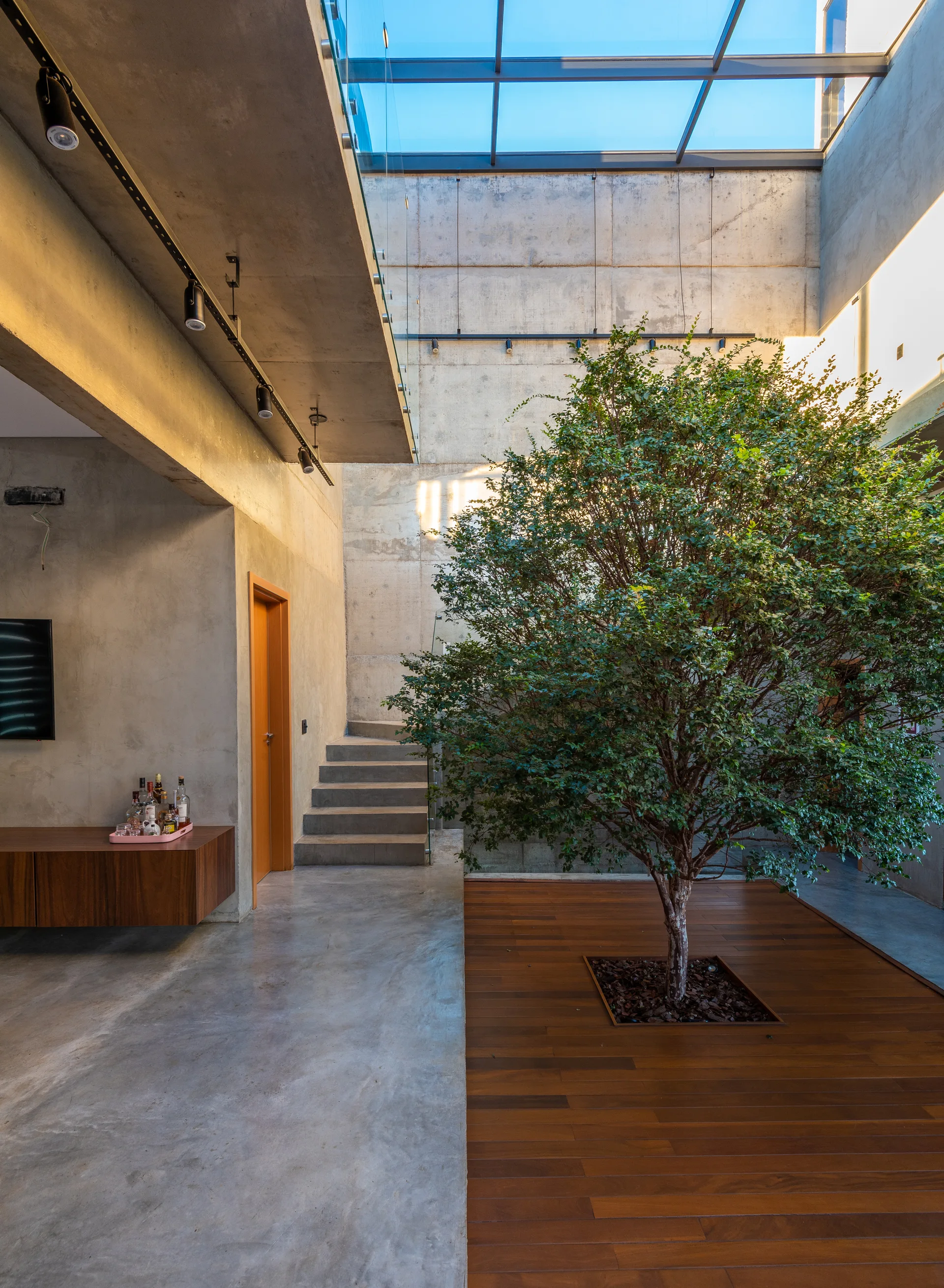A modern architectural interior features a large leafy green tree growing from a wood floor underneath a glass skylight next to raw concrete walls.