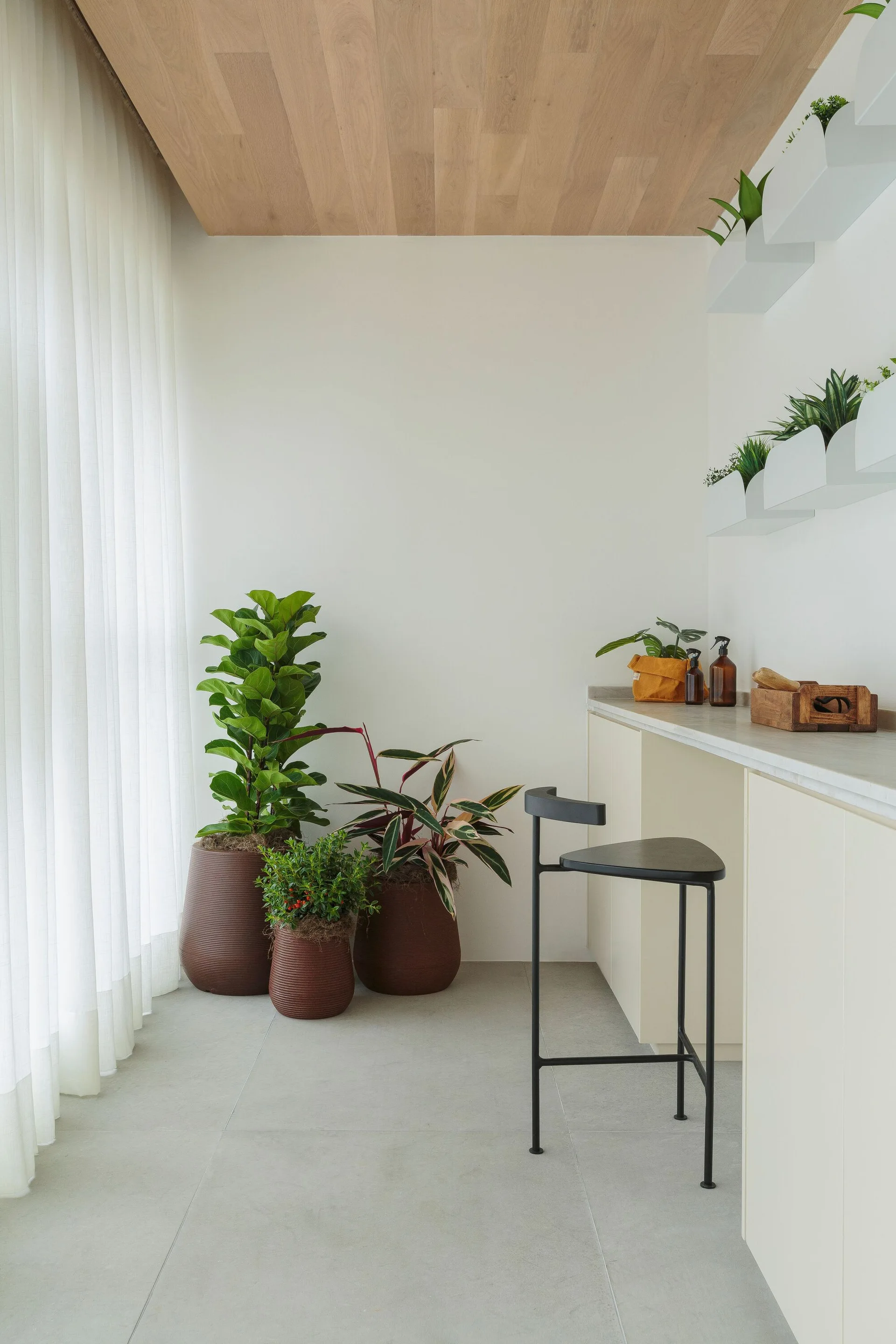 A minimalist indoor corner features a light wood-paneled ceiling, white sheer curtains, a built-in cream counter with a black stool, and large potted plants.