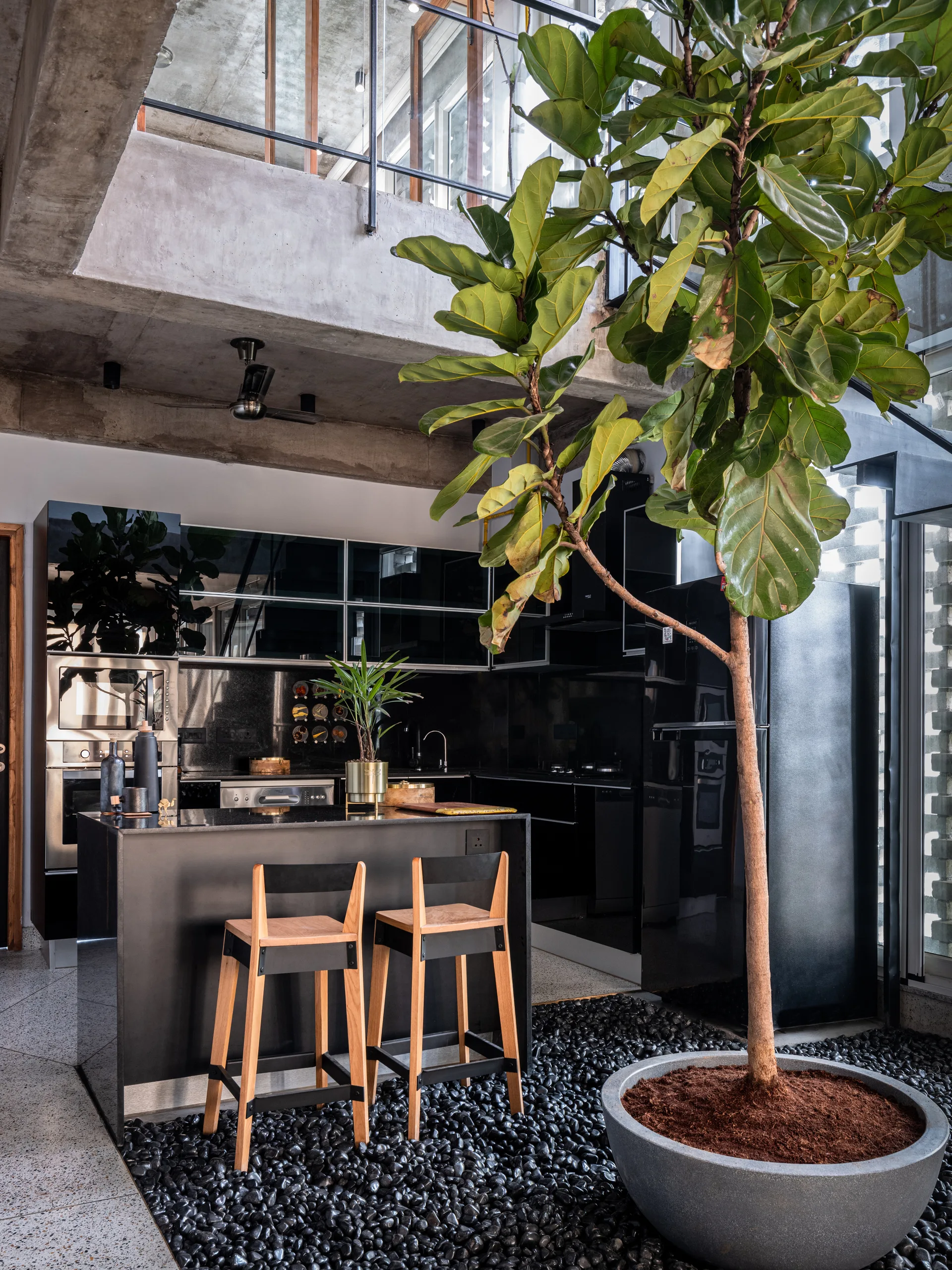 A modern black kitchen with gloss cabinetry, wooden bar stools, and an indoor garden bed of black river rocks with a large potted tree.