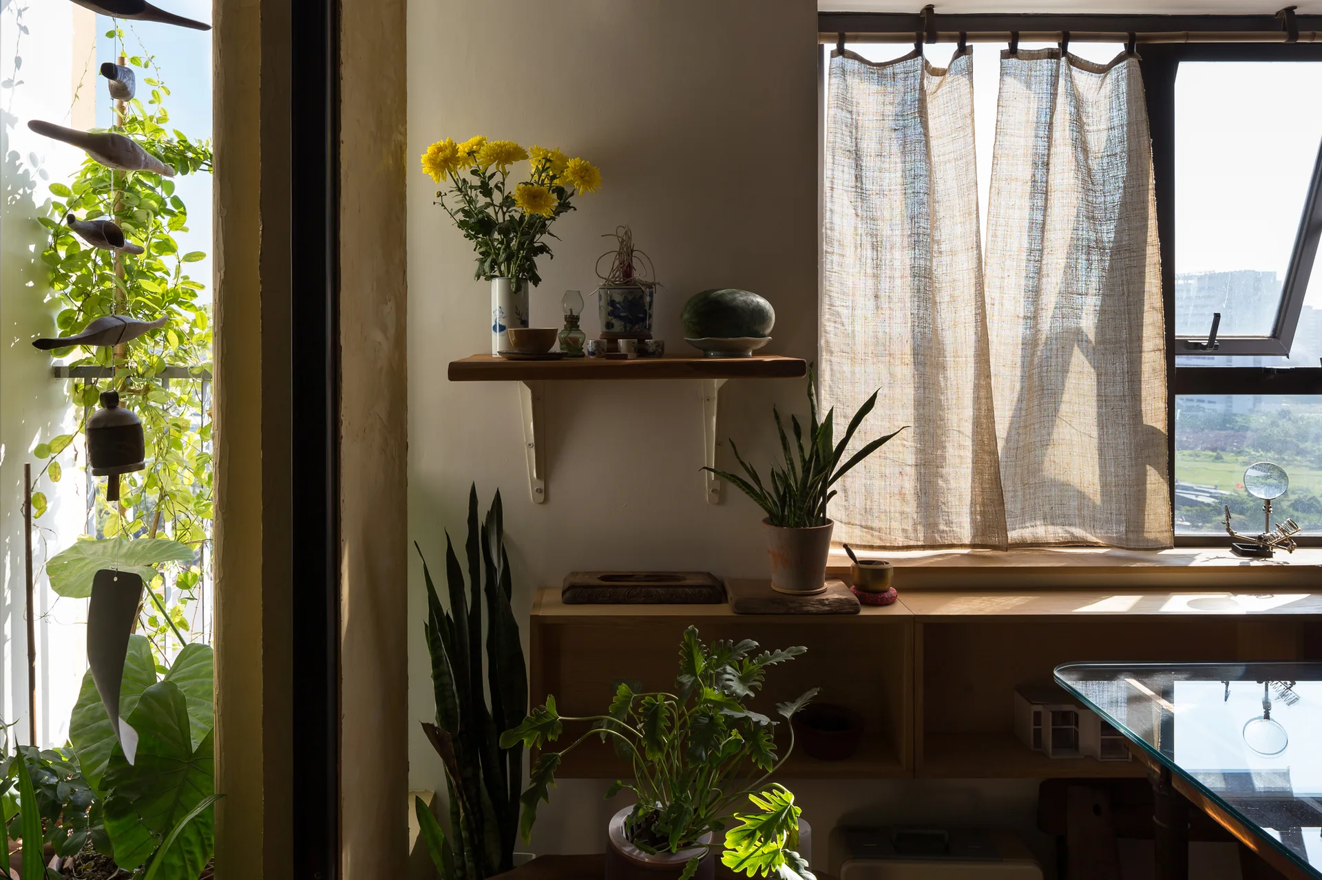 A sunlit room features a wooden floating shelf with yellow flowers and a low cabinet surrounded by potted green plants near a linen-curtained window.