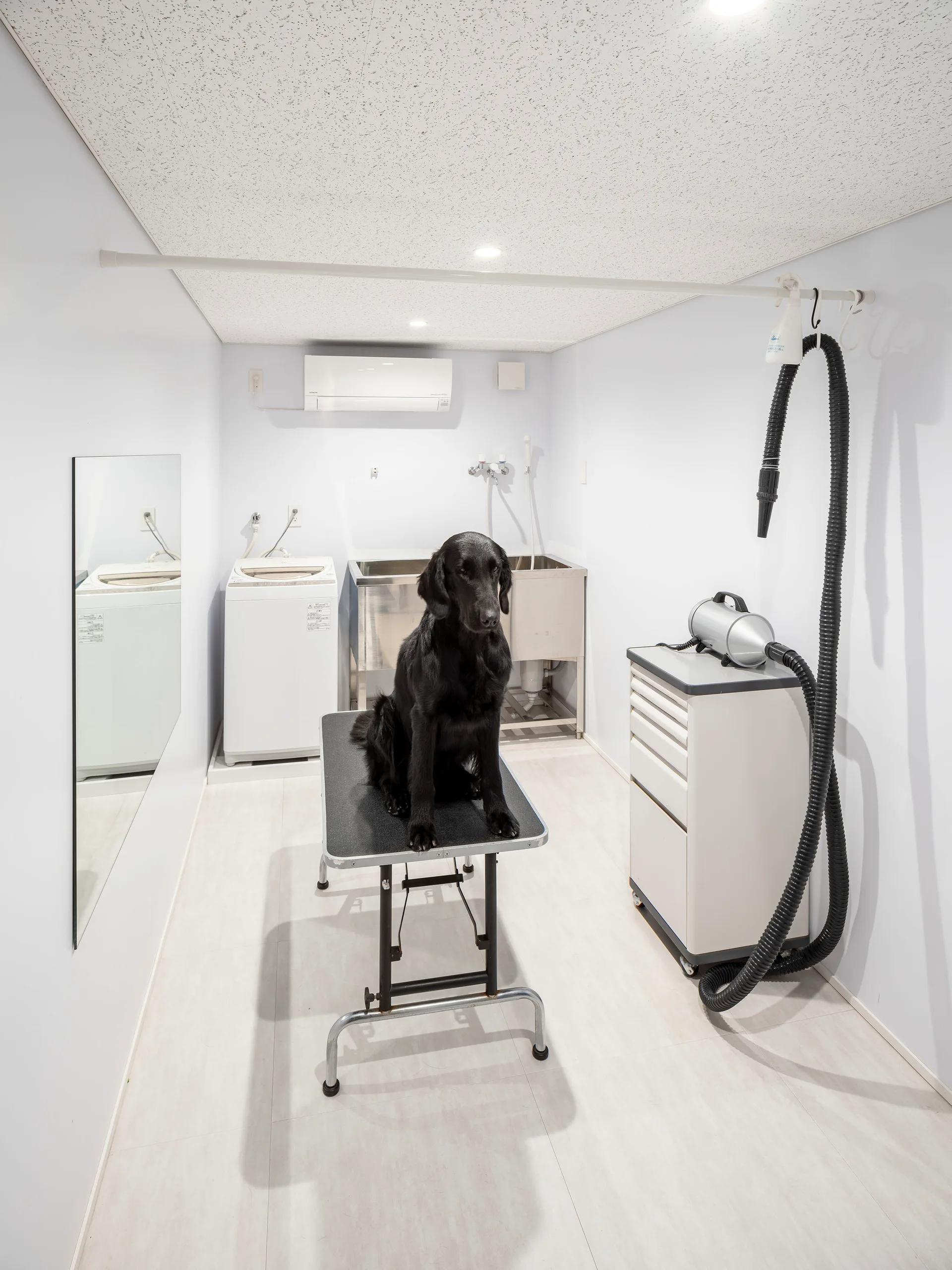 A black dog sits on a central grooming table inside a white utility room equipped with a stainless steel wash tub, laundry washer, and mobile cart.