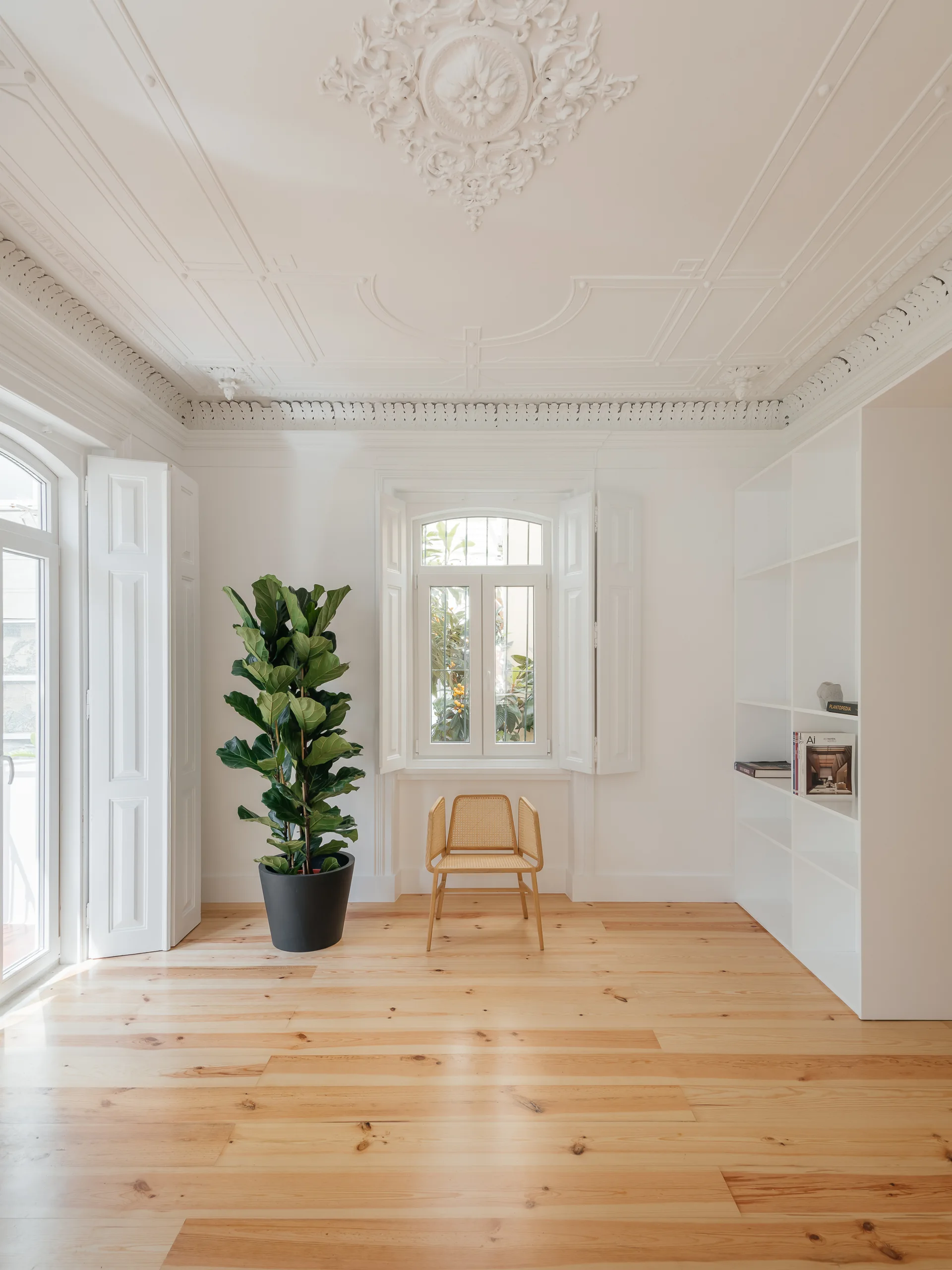 A minimalist white room with light wood floors features an ornate plaster ceiling medallion, a caned accent chair, and a tall potted plant.