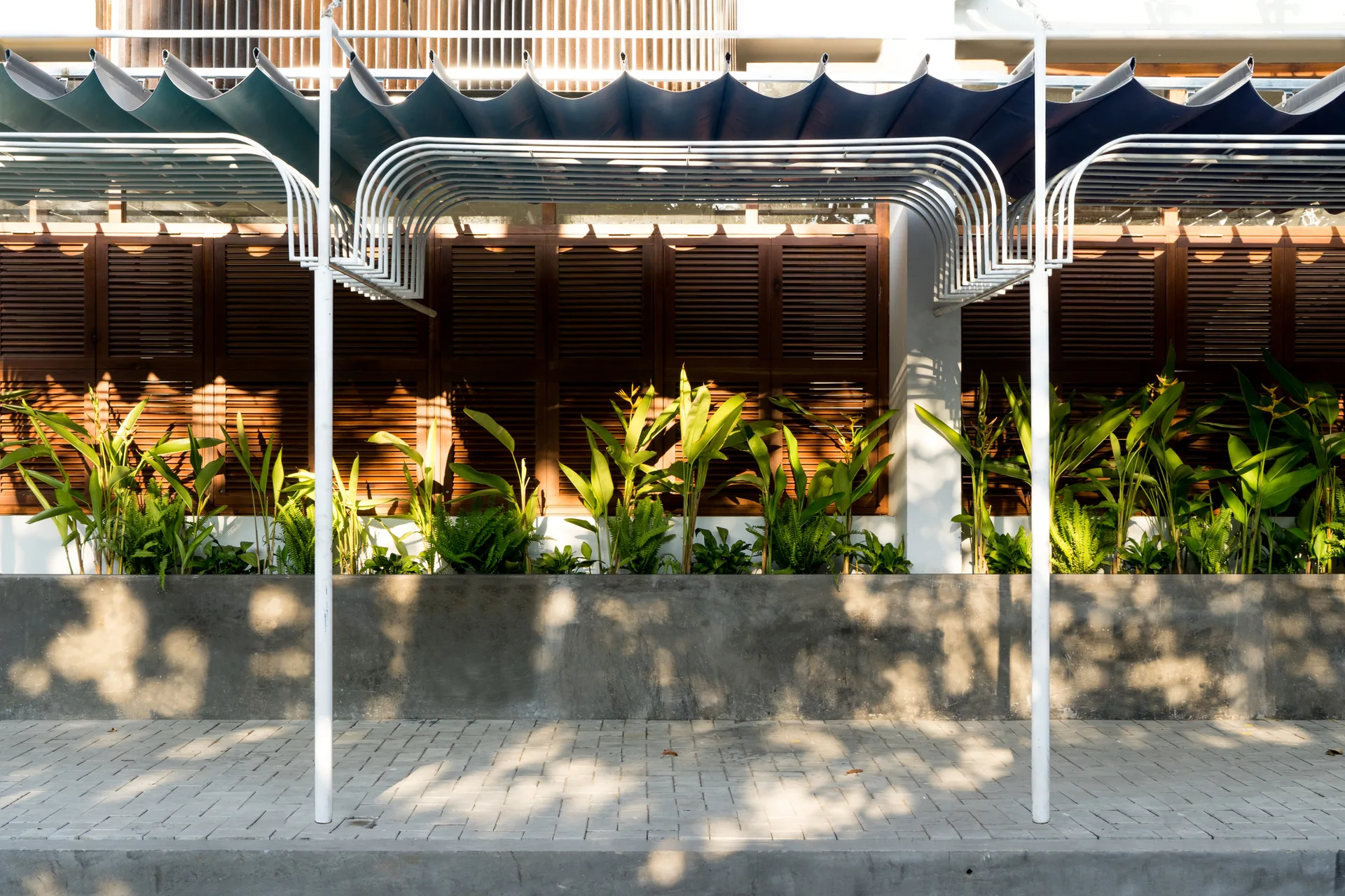 A paved patio features a white metal pergola over a grey concrete planter with tropical greenery in front of dark wood louvered shutters.