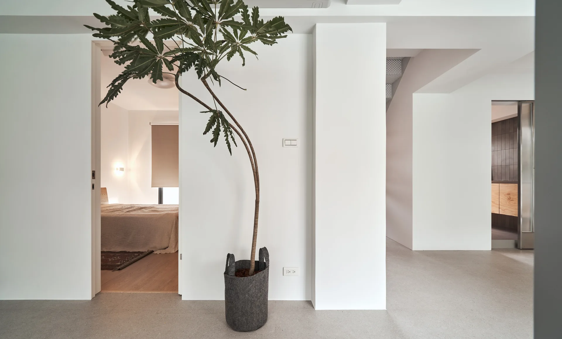 A minimalist white hallway with a tall, spindly potted plant in a grey fabric container next to an open doorway leading to a bedroom.