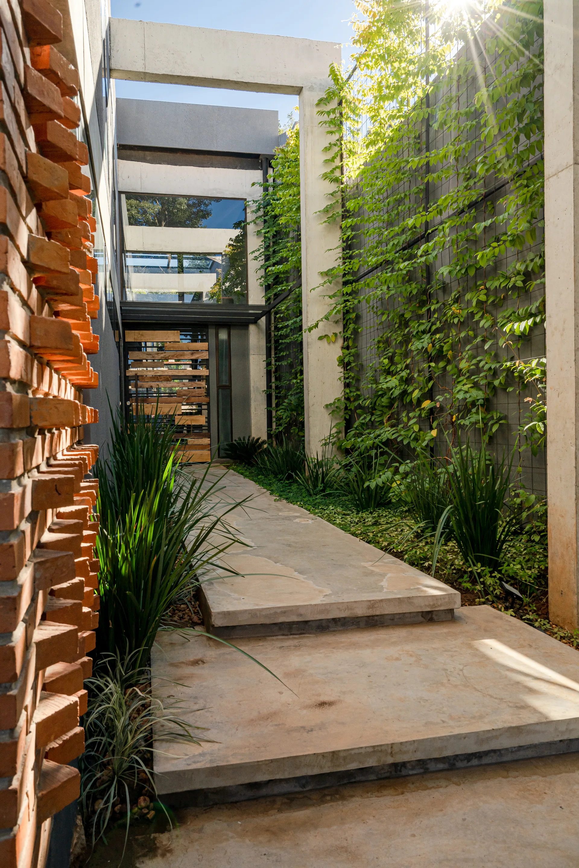 An outdoor concrete path leads to a wooden slatted gate, bordered by an angled red brick wall and a trellis of climbing green vines.