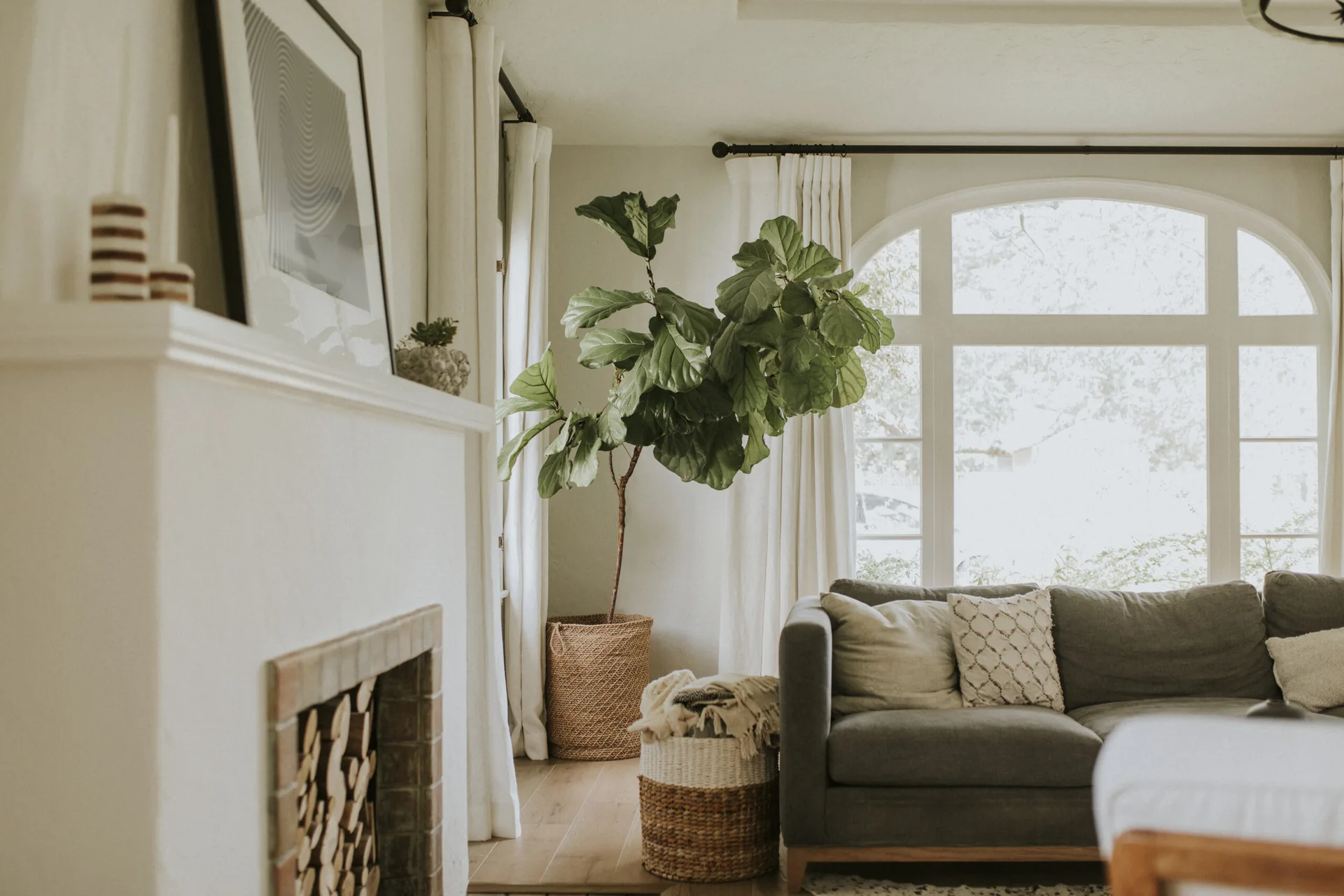A bright living room features a grey sofa, a fireplace filled with logs, a large fiddle leaf fig in a basket, and a white arched window.