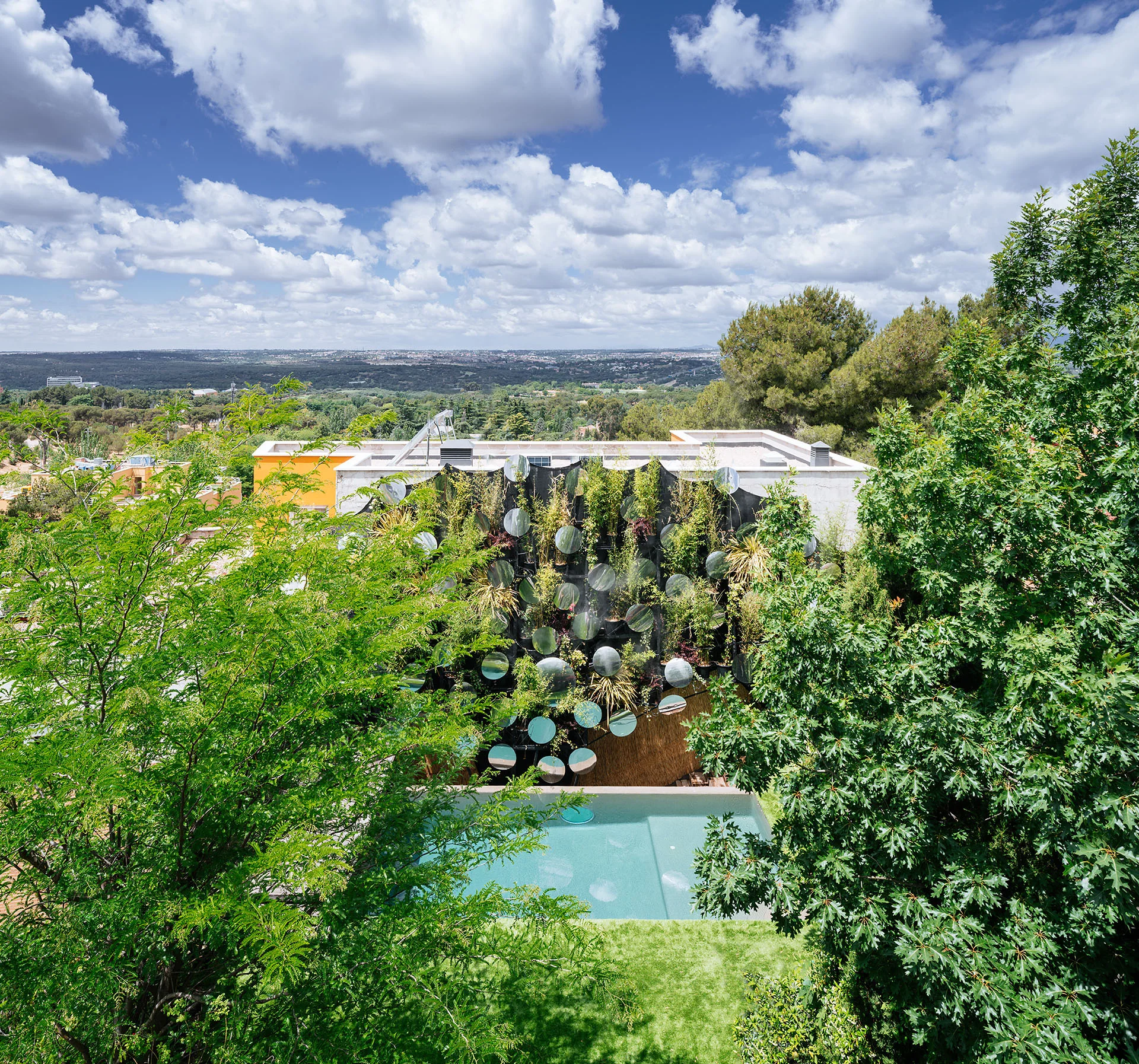 High-angle view of a backyard swimming pool bordered by a green lawn and a vertical garden wall integrated with circular mirrors.
