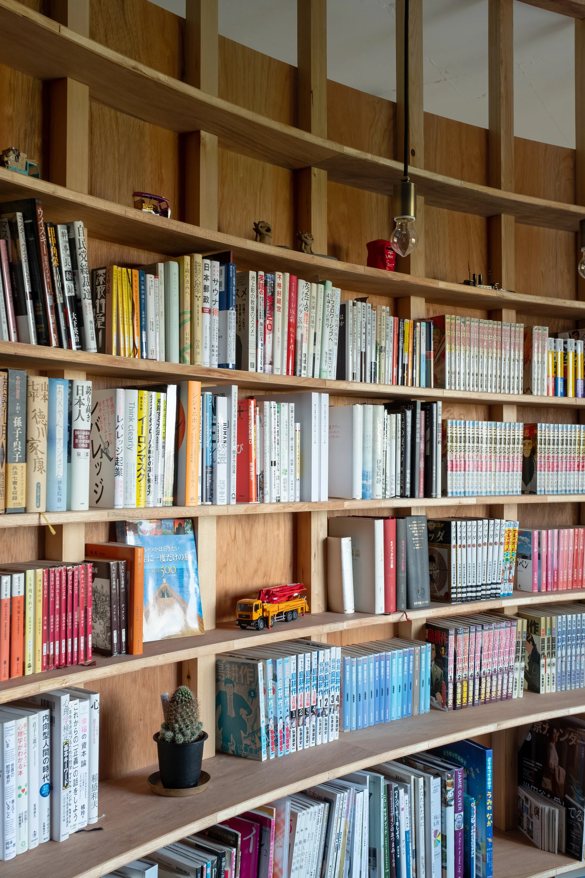 Dense rows of books fill a built-in light wood bookshelf with vertical dividers, a small potted cactus, and a simple hanging bulb.