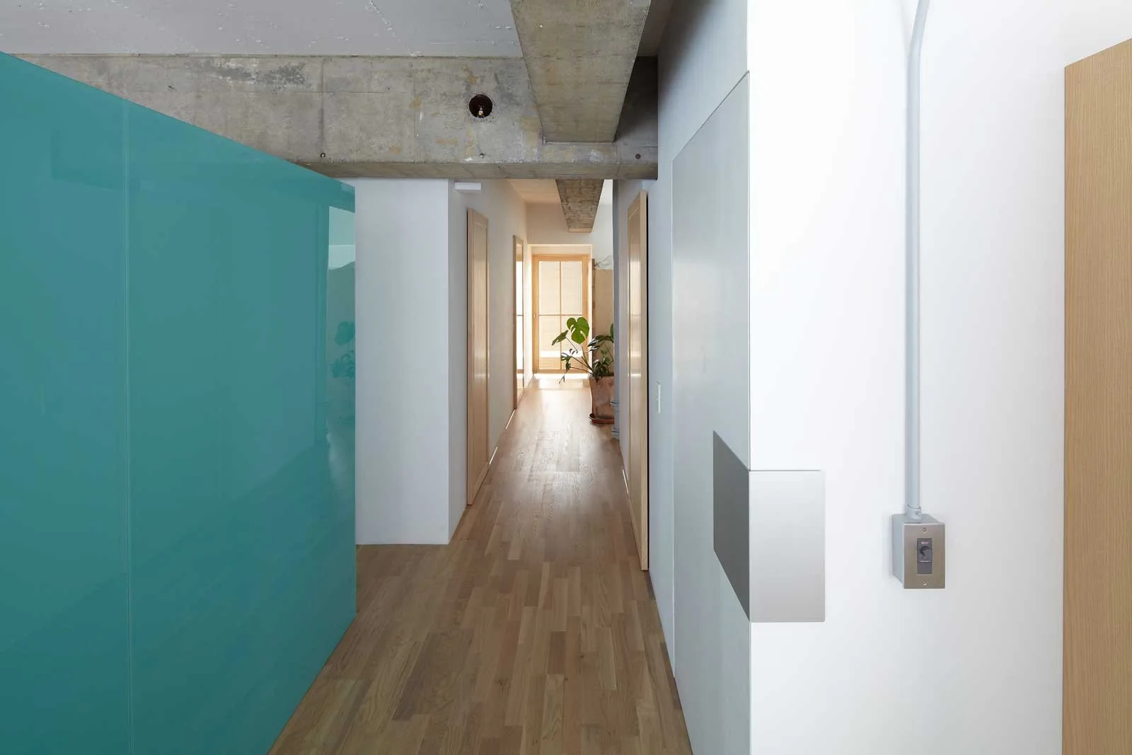 A minimalist hallway features natural wood floors, white walls, exposed concrete ceiling beams, and a glossy teal wall panel.