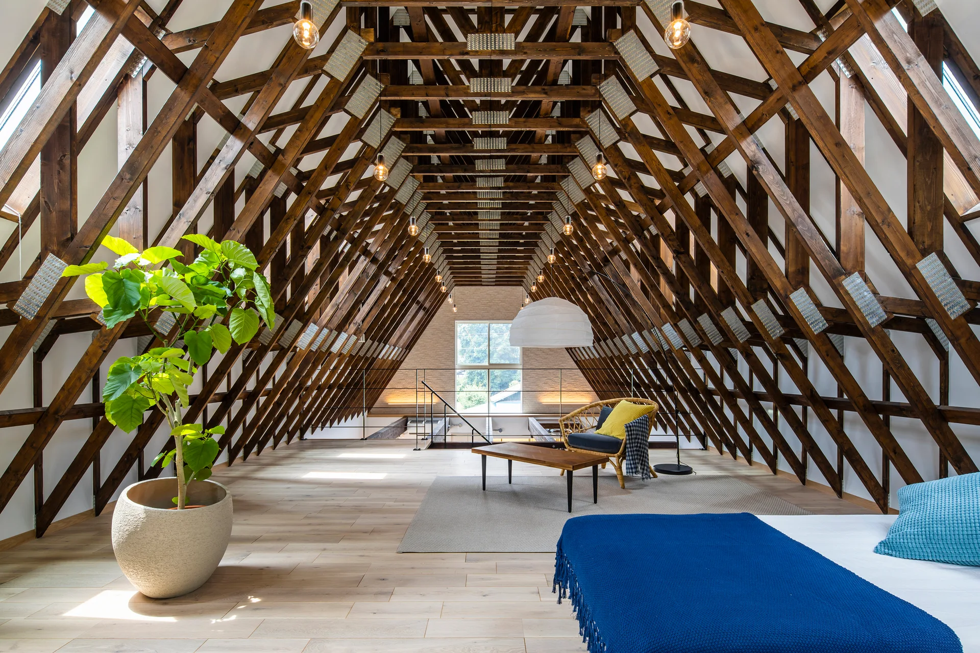 A spacious attic bedroom with exposed dark wood roof trusses, light wood floors, a large potted plant, and a seating area with a rattan chair.