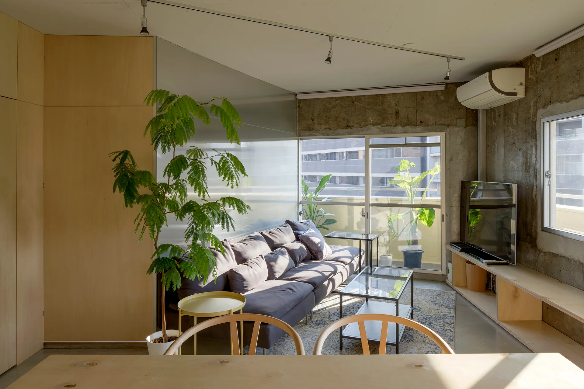 A modern living room features a grey sofa against a translucent room divider, paired with raw concrete walls, a plywood media console, and a large plant.