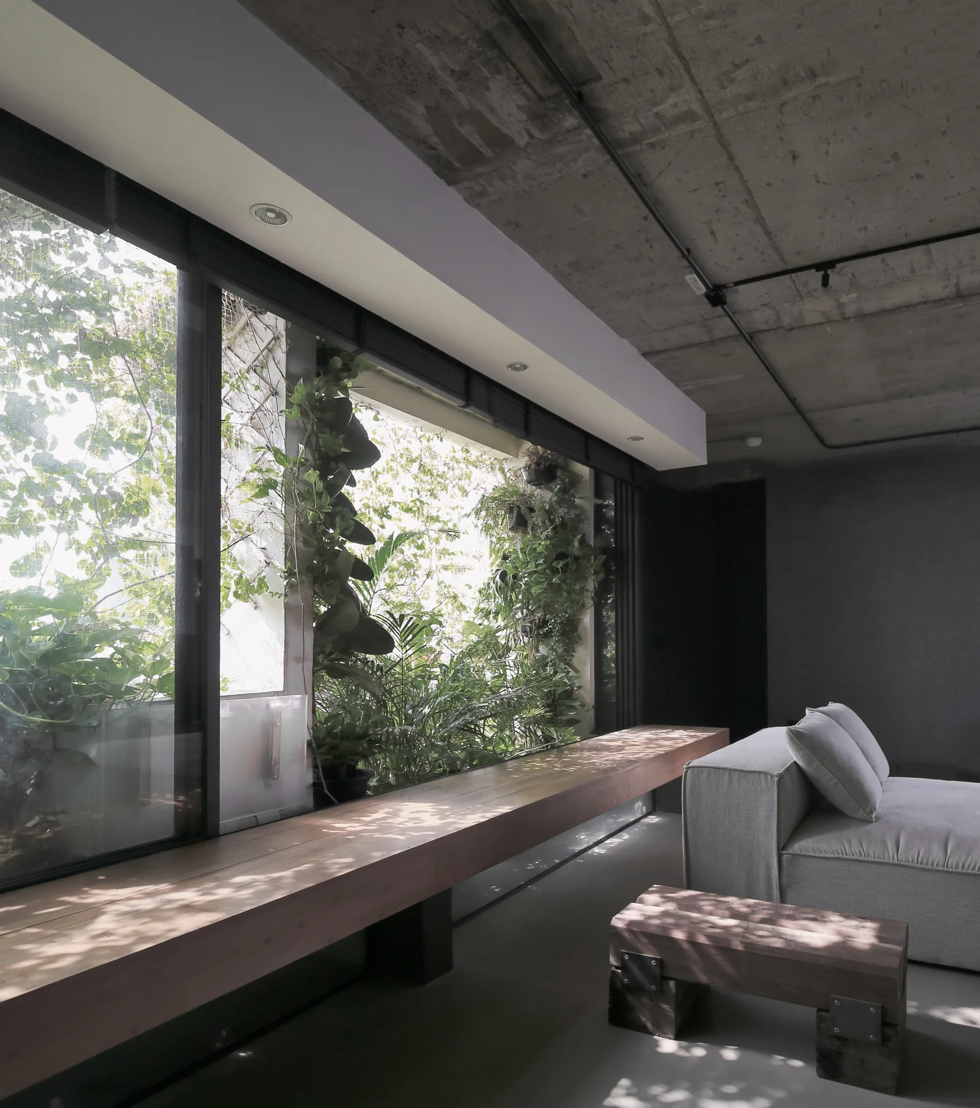 A minimalist living room features an exposed concrete ceiling, a grey modular sofa, and a long wooden window ledge overlooking a lush green indoor garden.