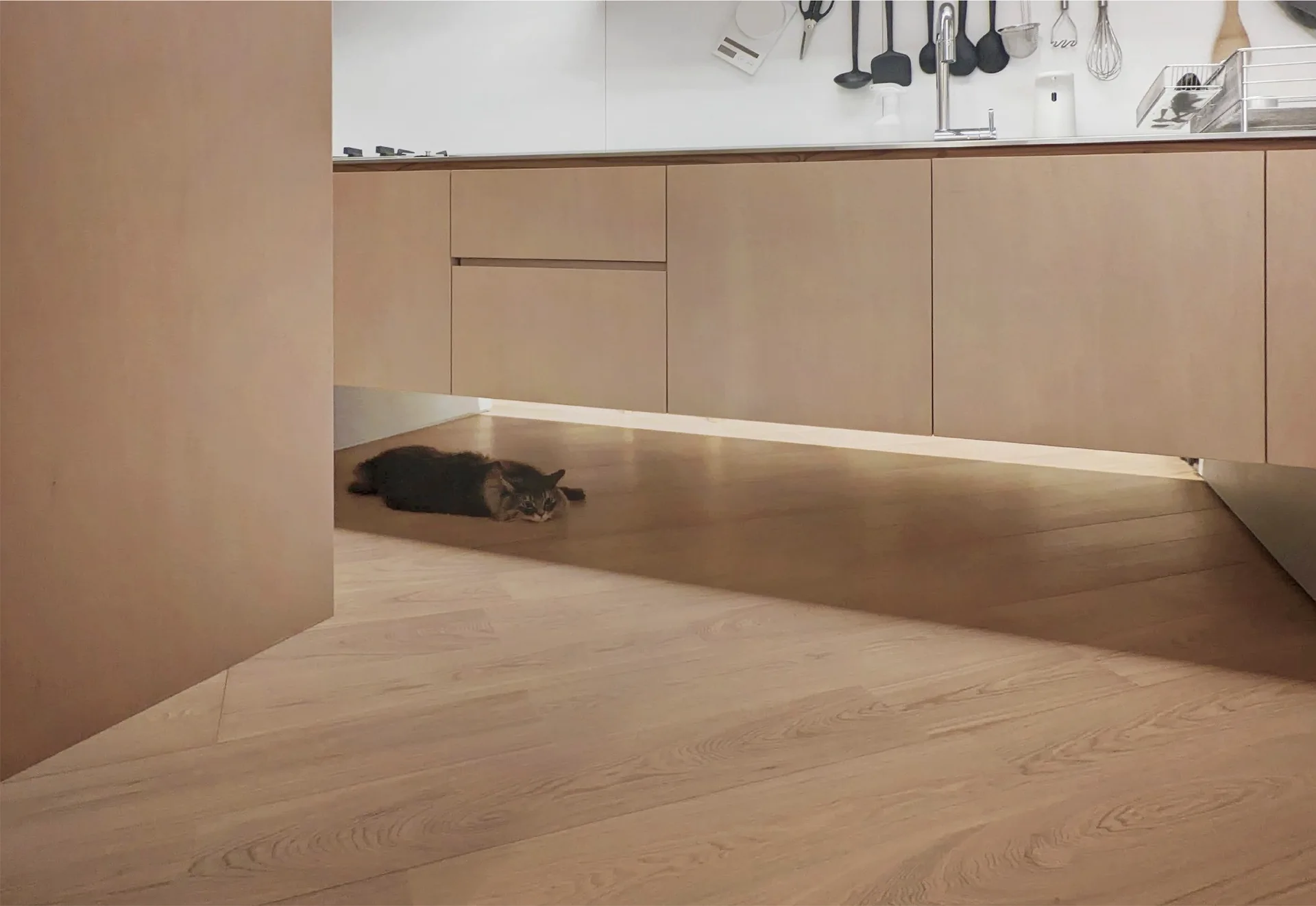 A cat lies on a light wood floor beneath minimalist light brown kitchen cabinets illuminated by warm under-cabinet lighting.