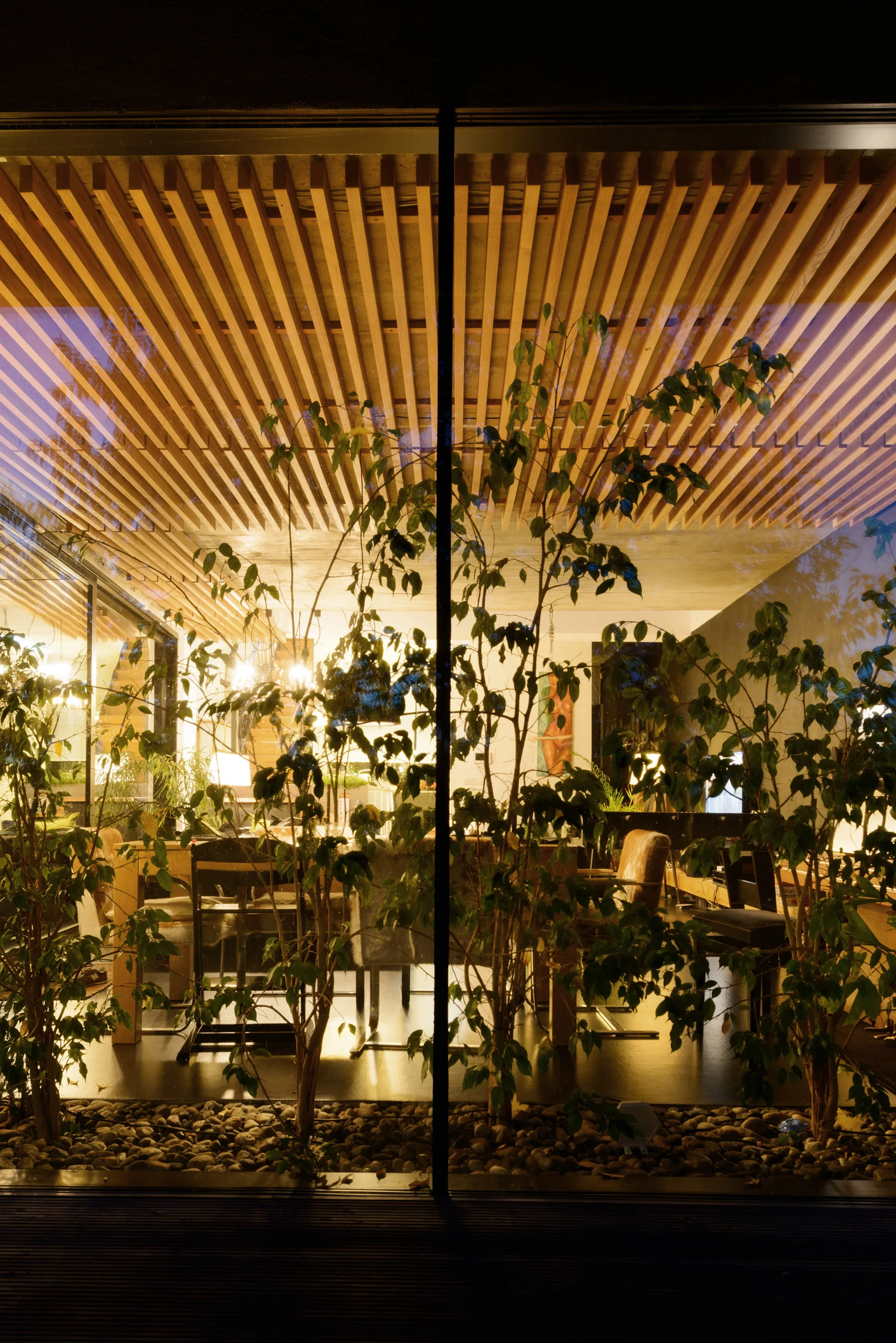 A view through a glass wall into a warmly lit dining room featuring a wooden slatted ceiling, dining furniture, and potted plants in a pebble bed.