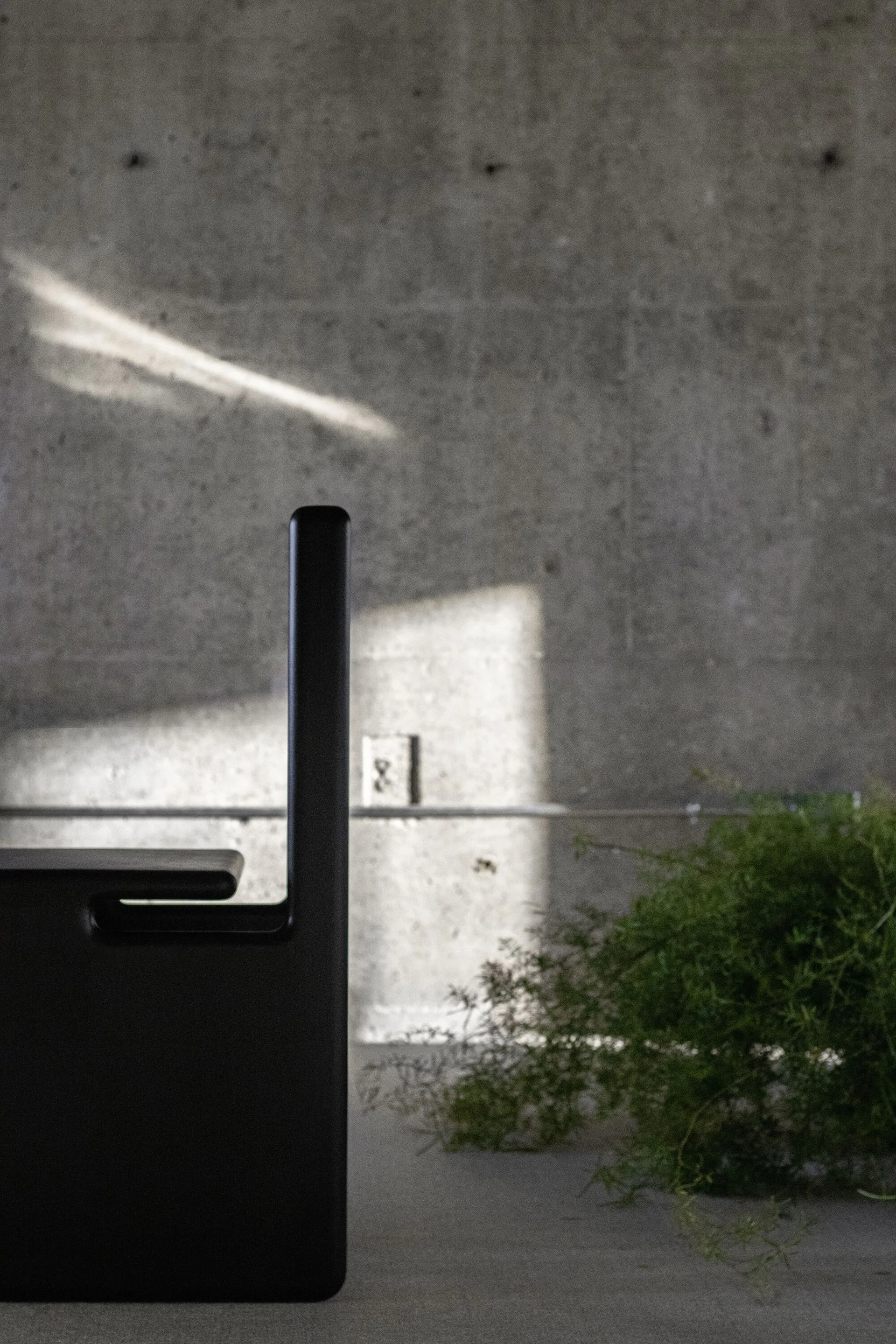 A minimalist black chair stands against an industrial raw concrete wall with green foliage on the floor under a shaft of sunlight.