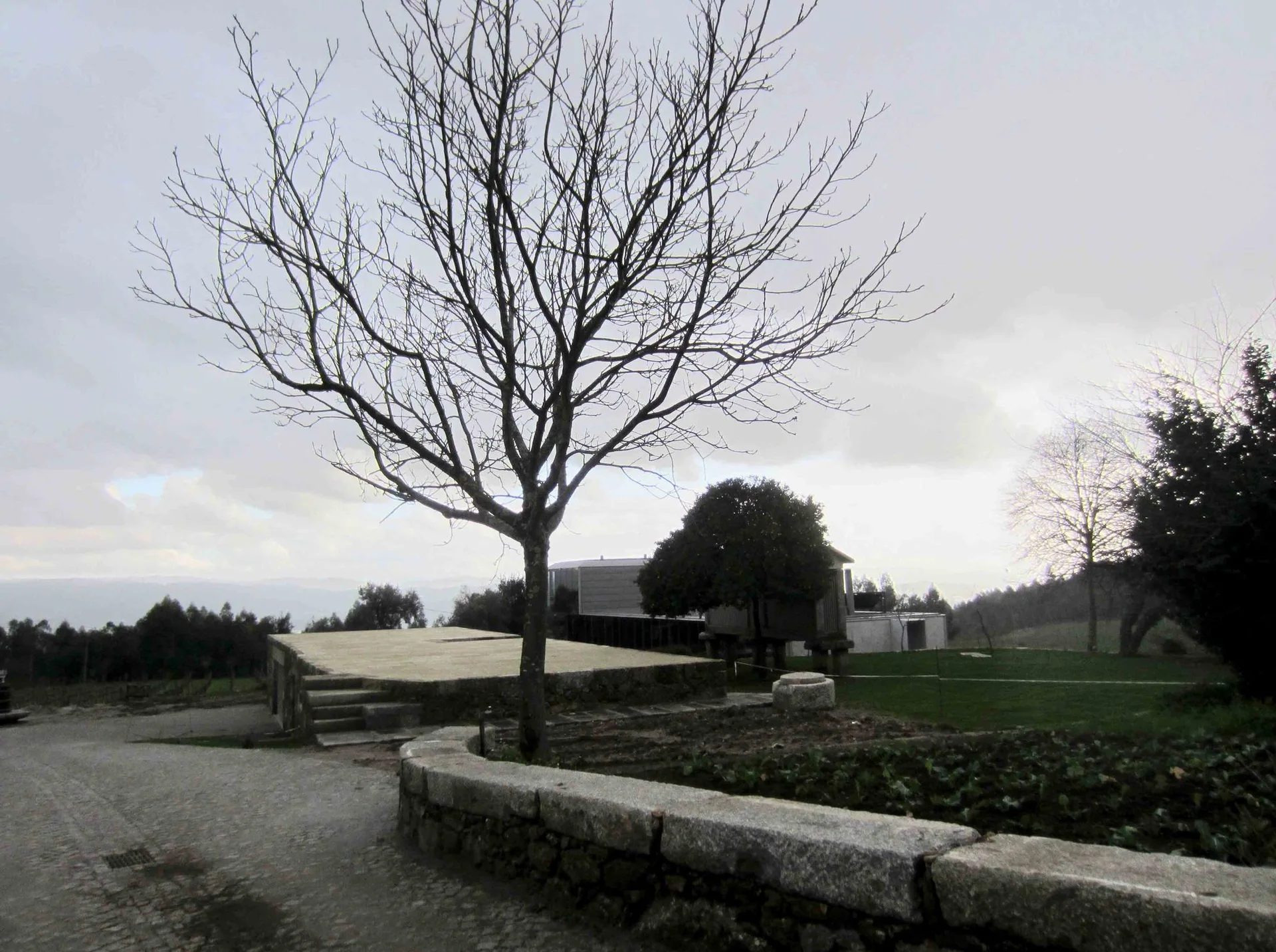 A bare winter tree stands behind a low, curved stone retaining wall on a grassy estate with a modern home in the background.