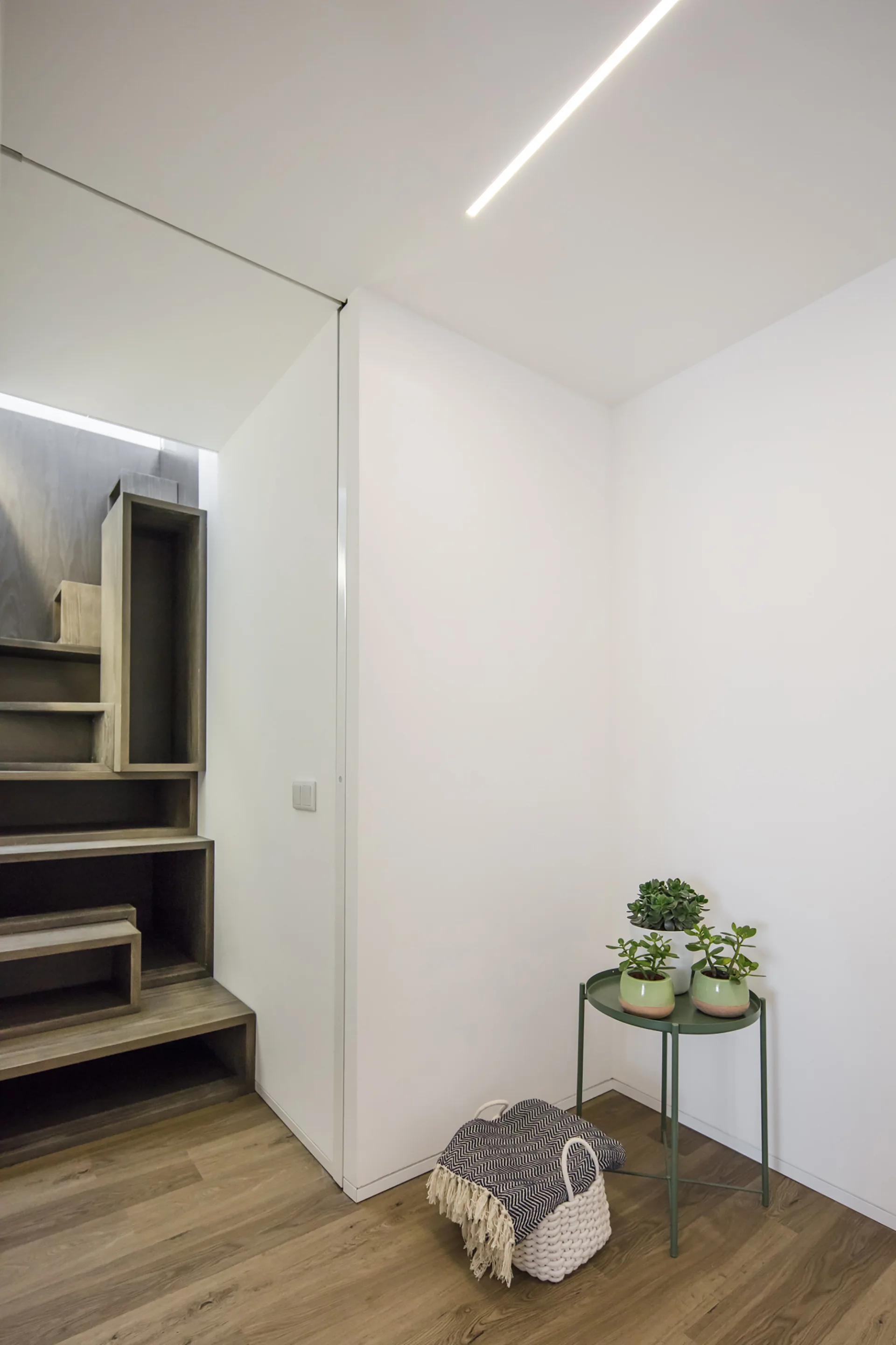 A minimalist white corner features a green metal plant stand with potted succulents, a woven basket, and custom dark wood open shelves.