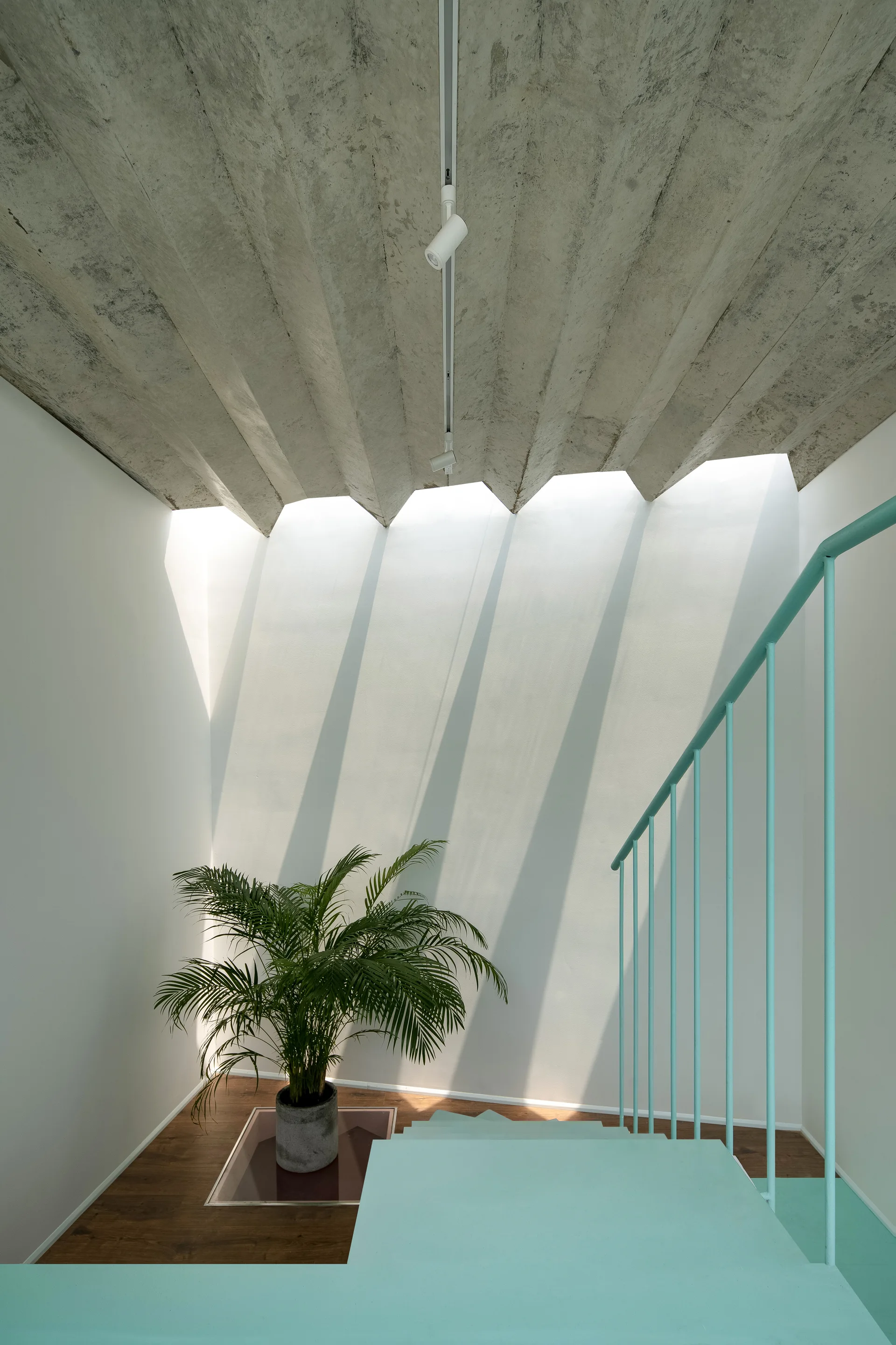 A modern stairwell features light blue stairs and railings, a textured folded concrete ceiling, and a potted palm plant on a wood floor.