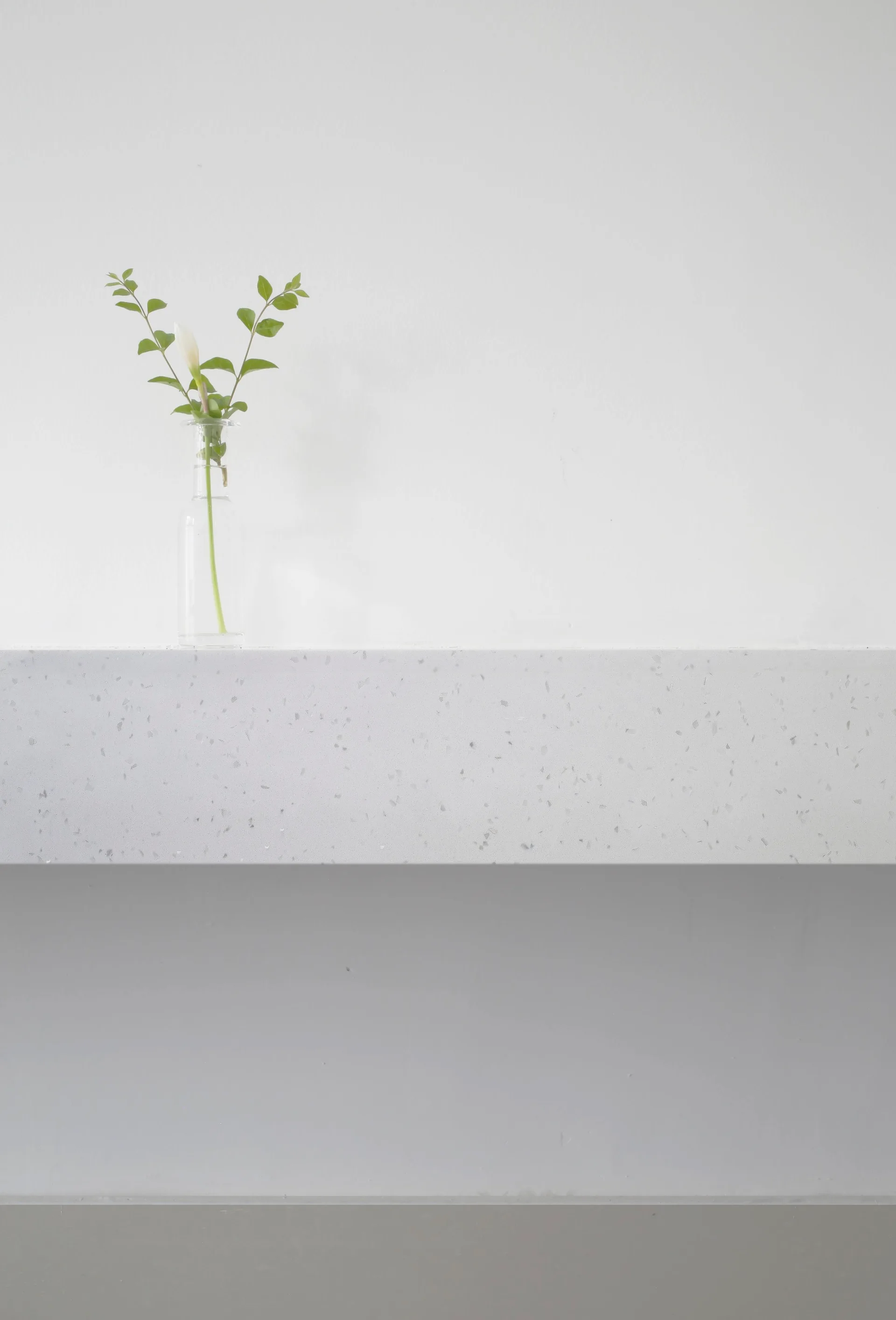 A clear glass vase with a single green stem rests on a light grey speckled stone ledge against a plain white wall.