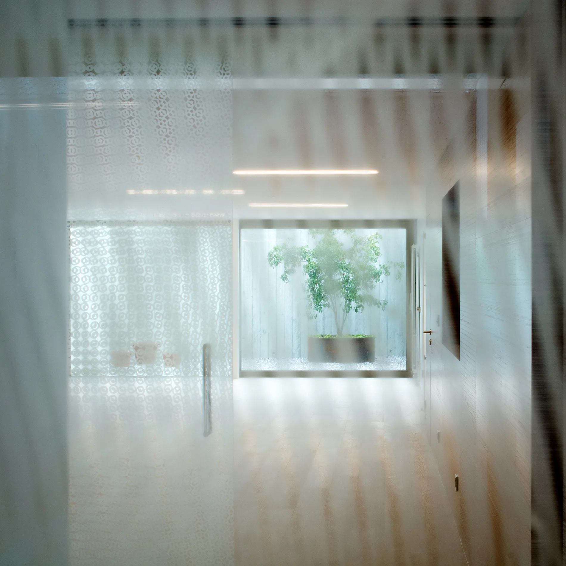 A view through a translucent patterned glass door down a minimalist hallway toward a large window framing a potted tree in an outdoor alcove.