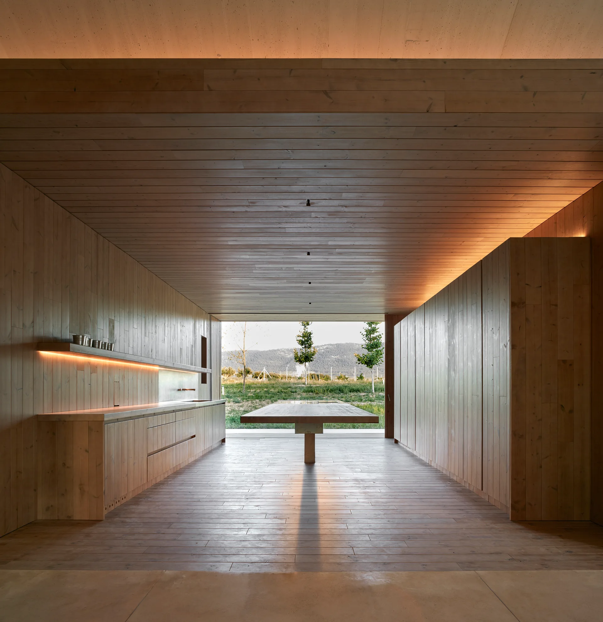 A minimalist kitchen clad entirely in light wood planks with integrated cabinetry, a long counter, and an open wall framing an outdoor grassy view.