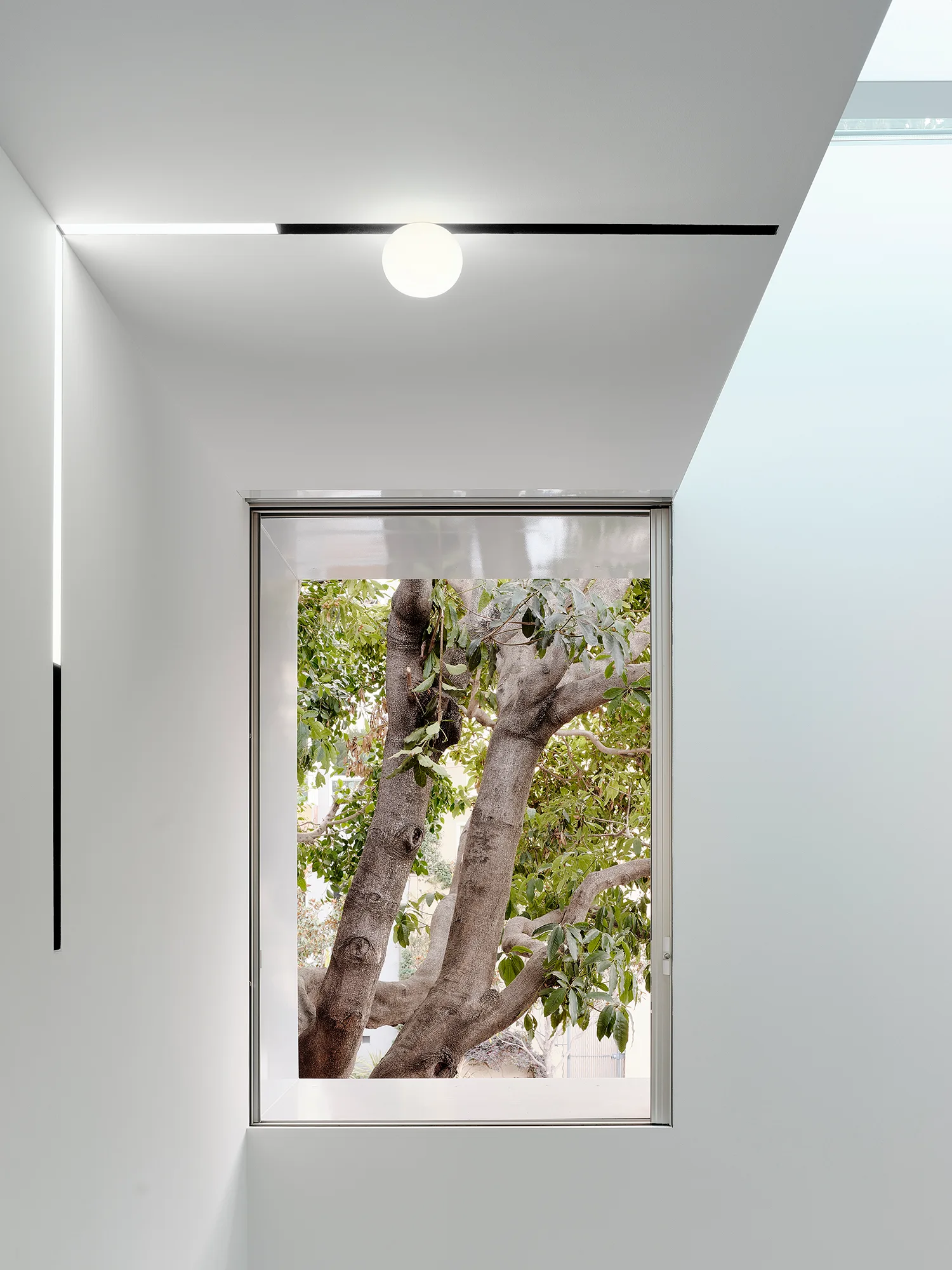 A rectangular window in a minimalist white room frames a green leafy tree, complemented by a thin black track light with a spherical glass bulb.
