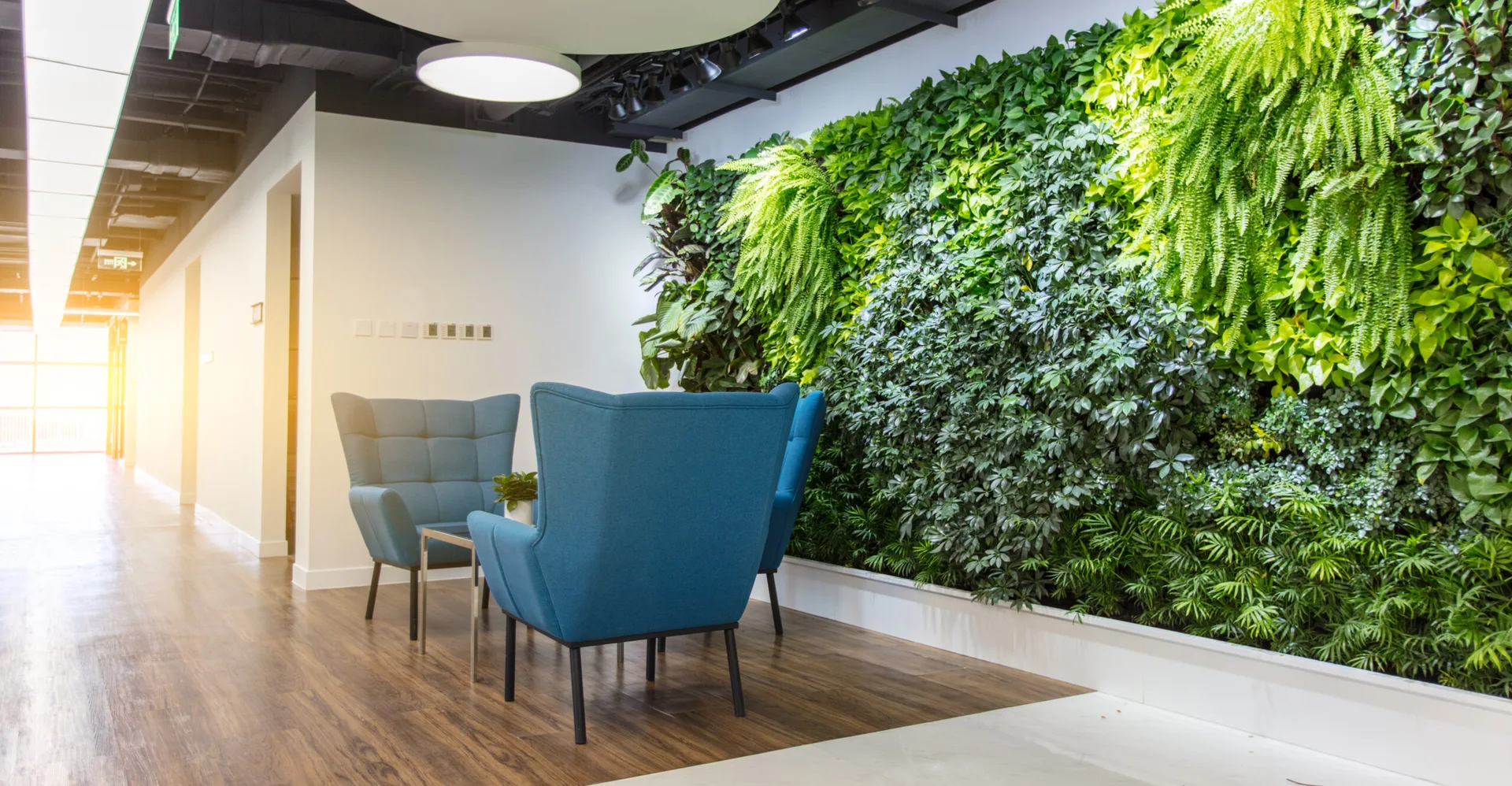 Three blue wingback armchairs are arranged around a small table next to a large vertical plant wall in a modern corridor.