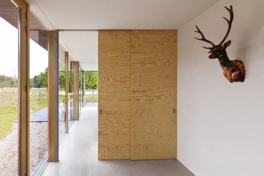 A minimalist hallway features a plywood sliding door, a concrete floor, glass walls showing the outdoors, and a decorative deer head on a white wall.