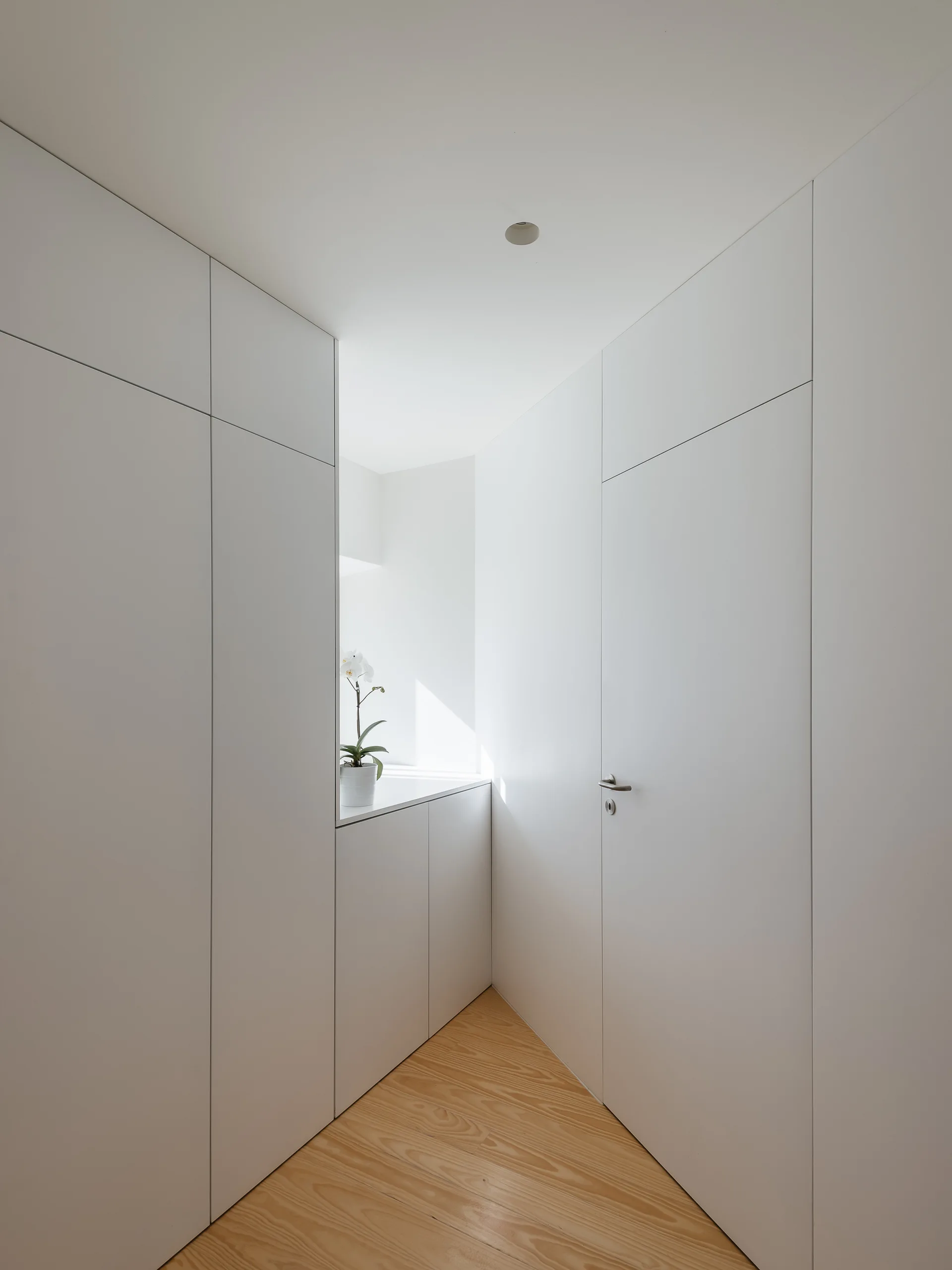 A minimalist white hallway features seamless floor-to-ceiling cabinetry, an integrated flush door, and light wood flooring with a single potted orchid.
