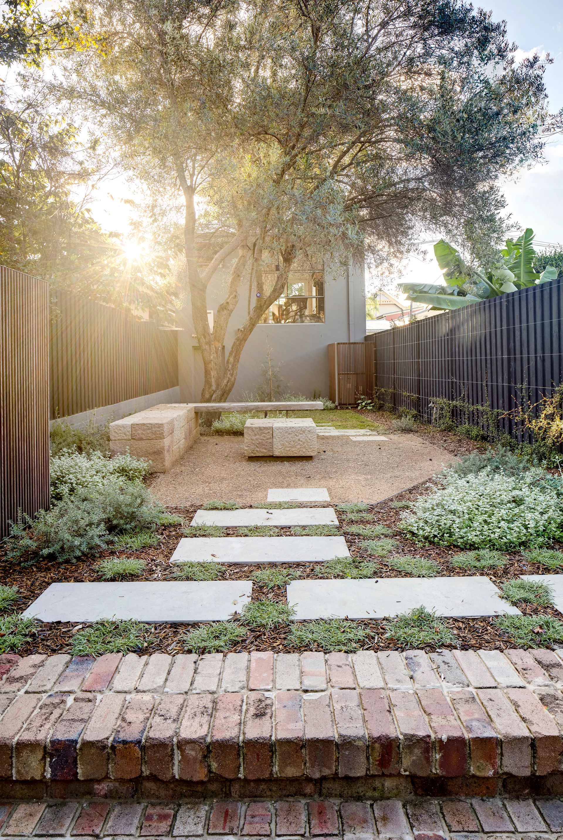A backyard garden features rectangular concrete path pavers leading to a rough stone block bench set beneath a mature tree.