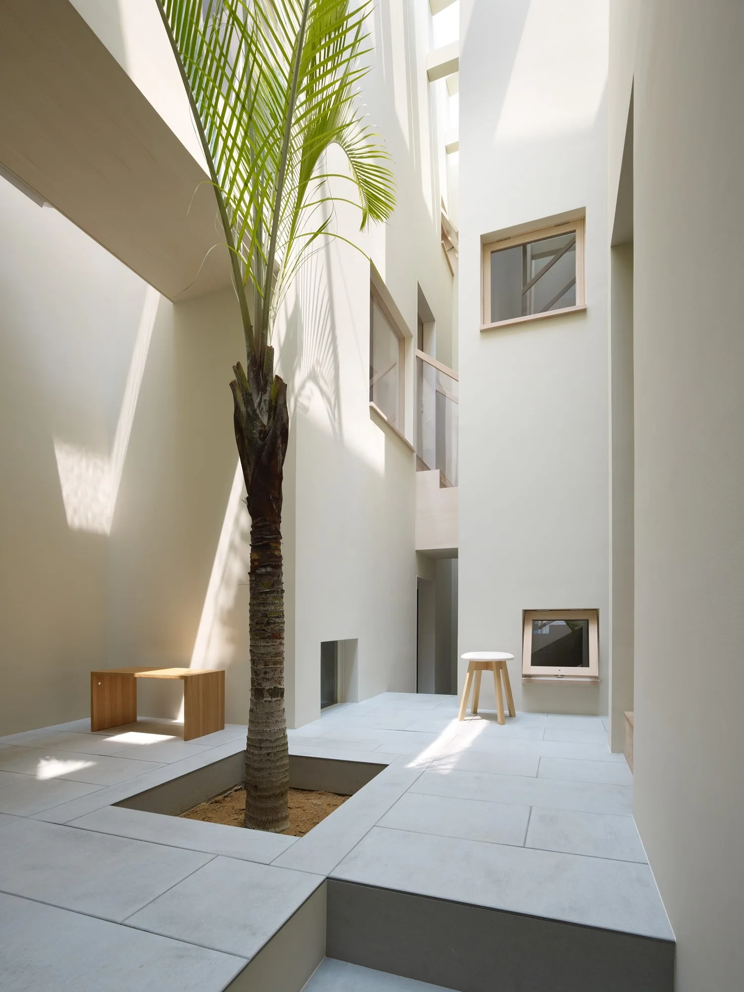 A minimalist white indoor courtyard features a tall central palm tree, light gray stone floor tiles, and simple wooden seating under a high skylight.